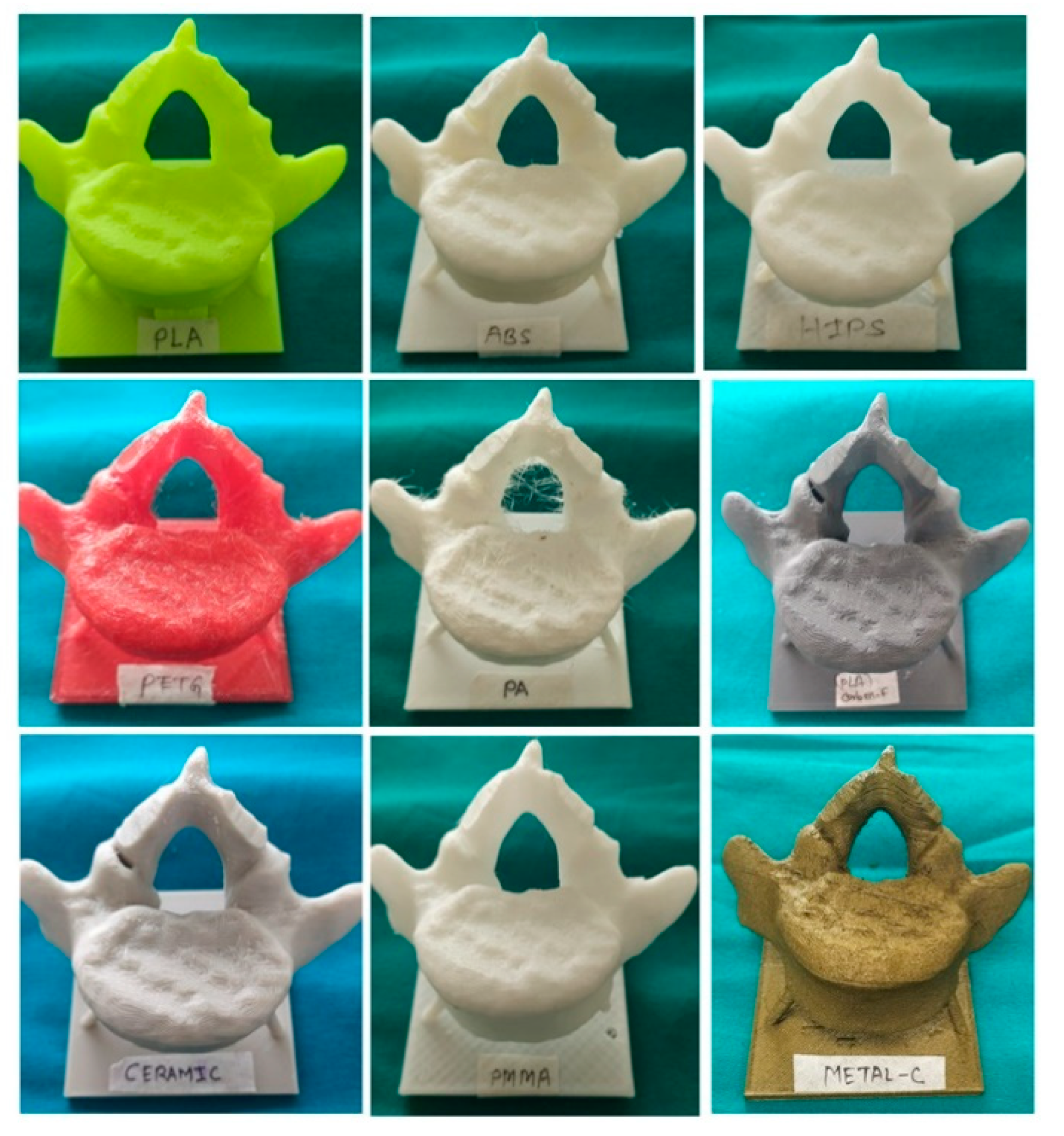 Preprints 113768 g008