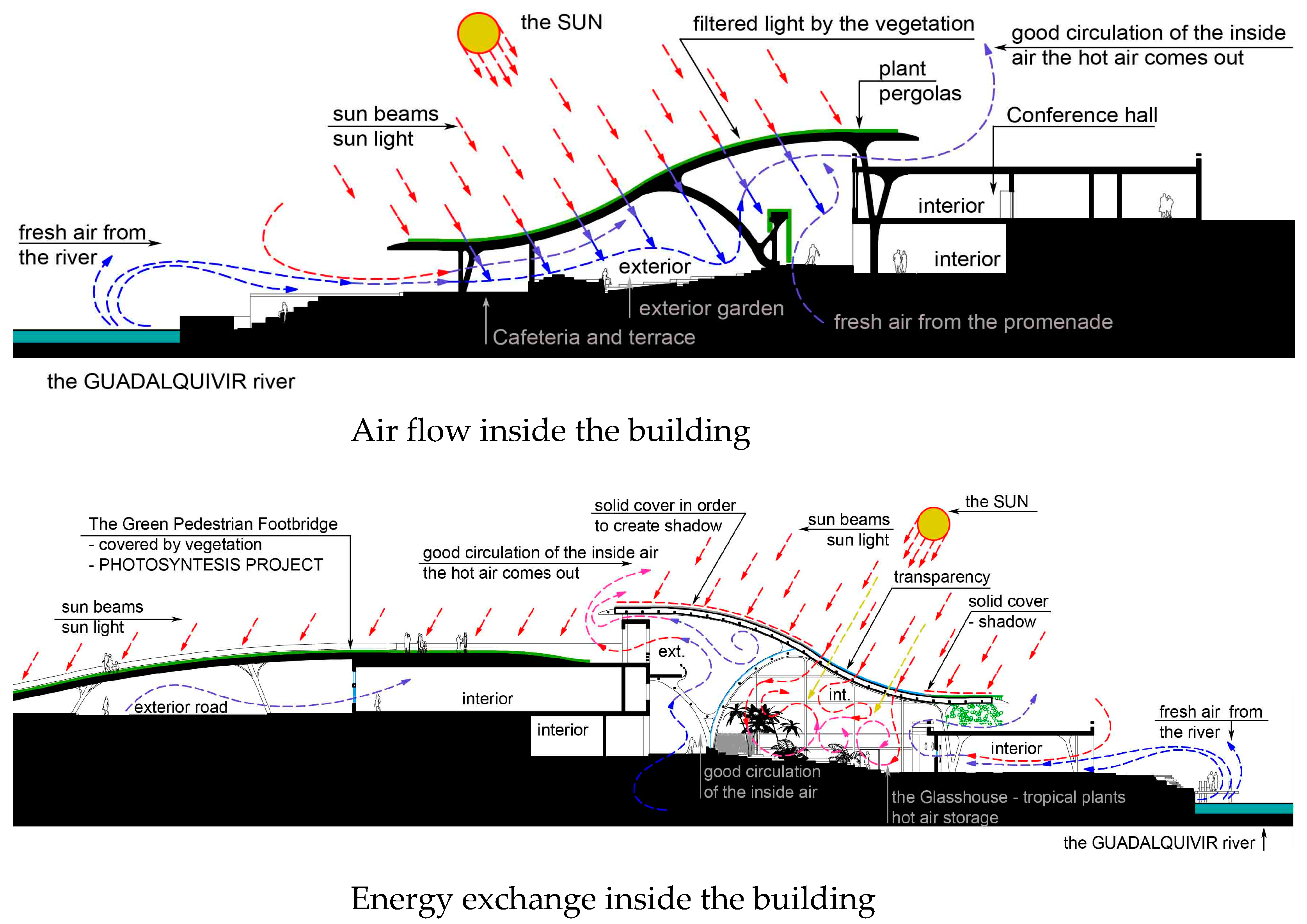 Preprints 143198 g021a