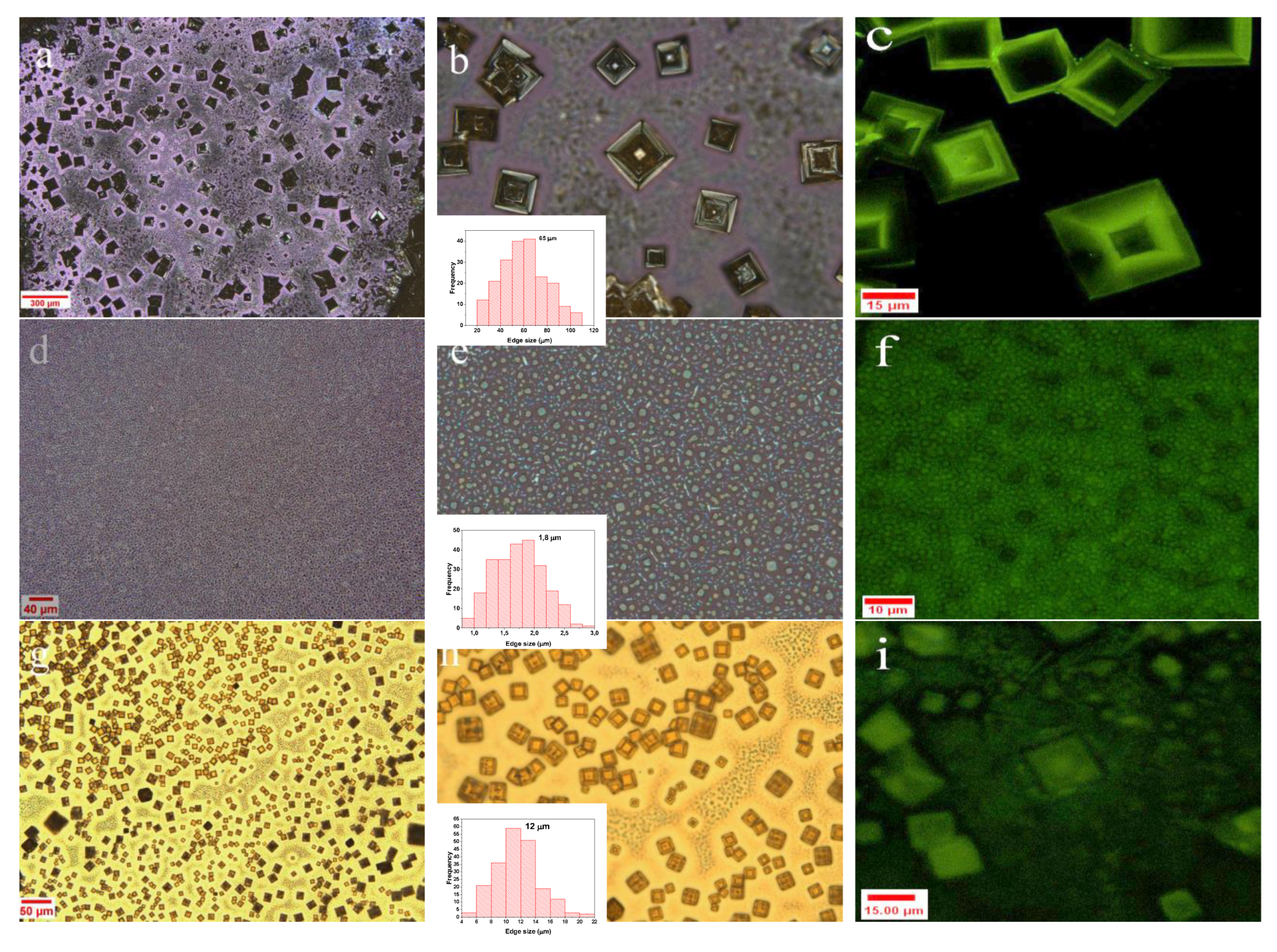 Preprints 193322 g003