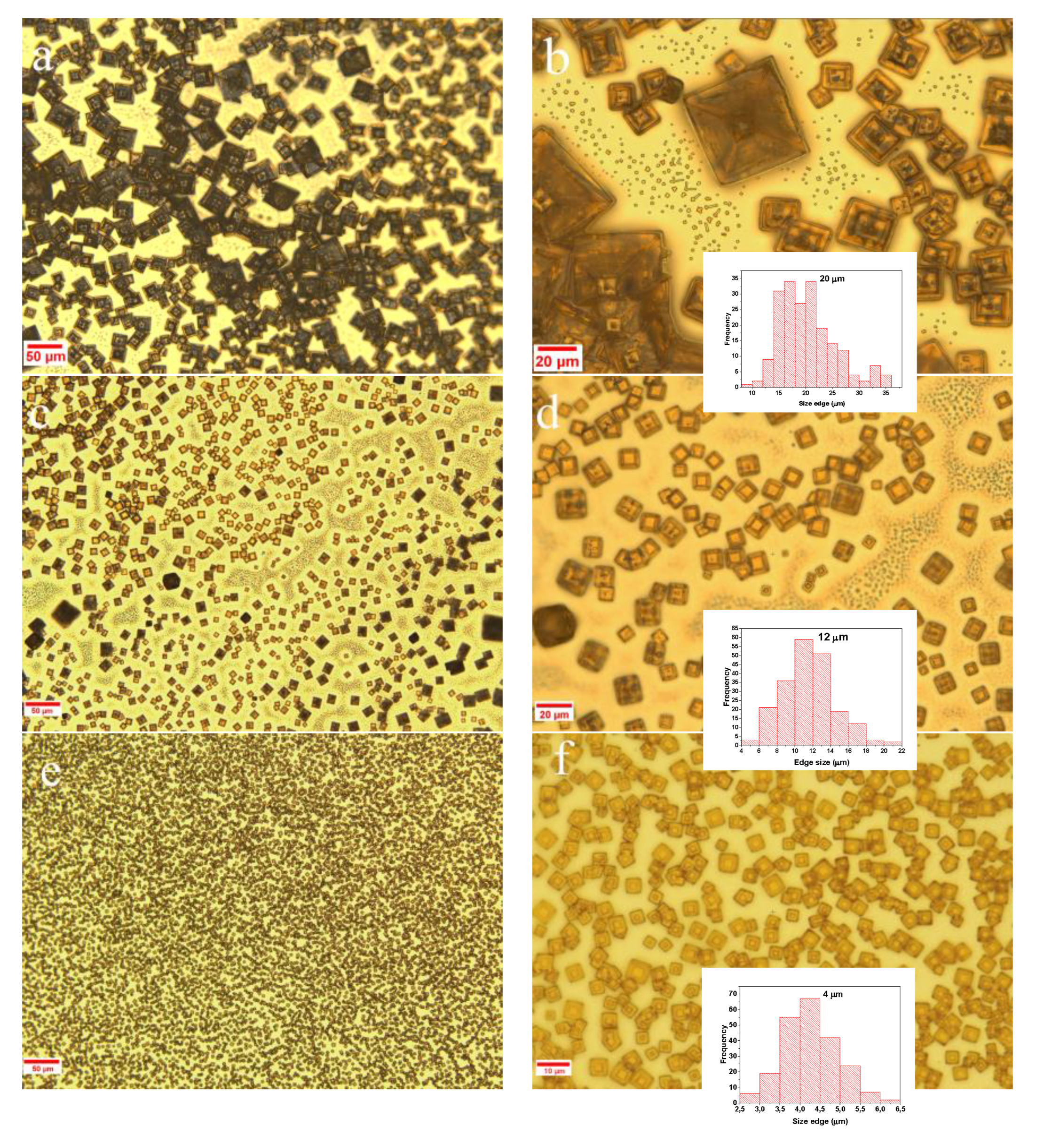 Preprints 193322 g004