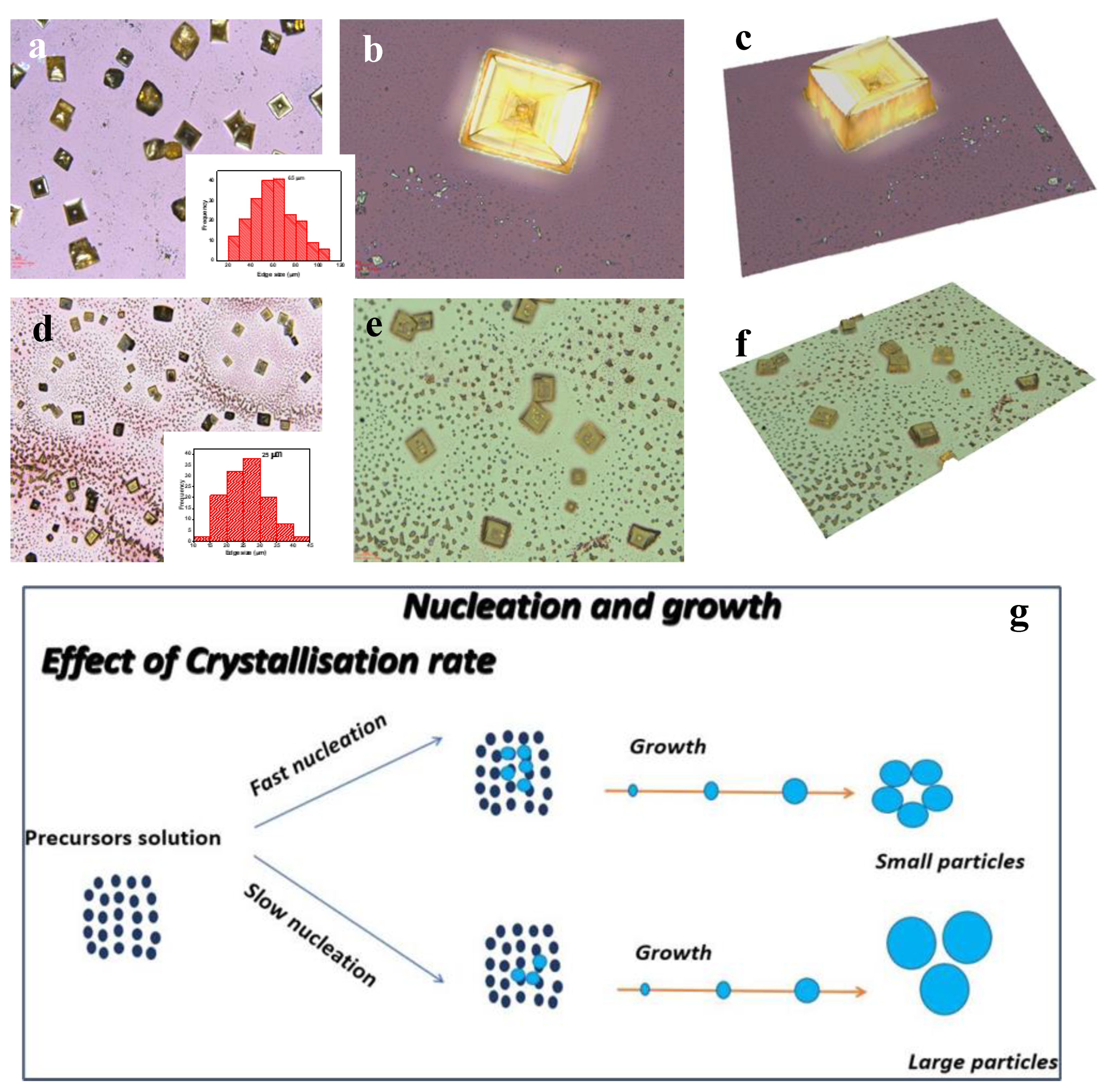 Preprints 193322 g006