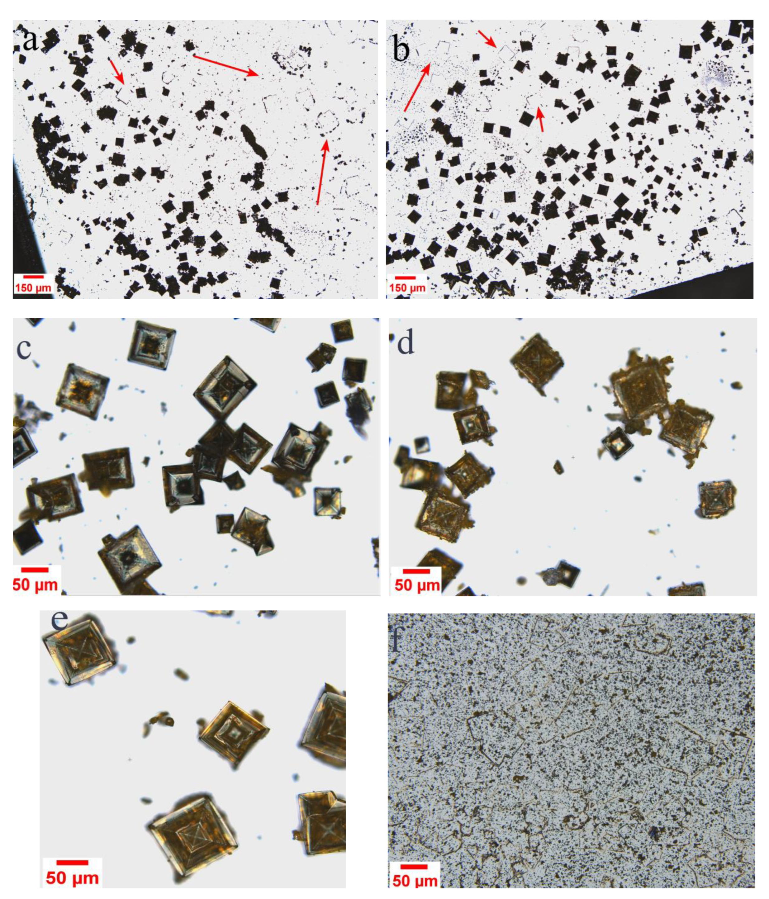 Preprints 193322 g008