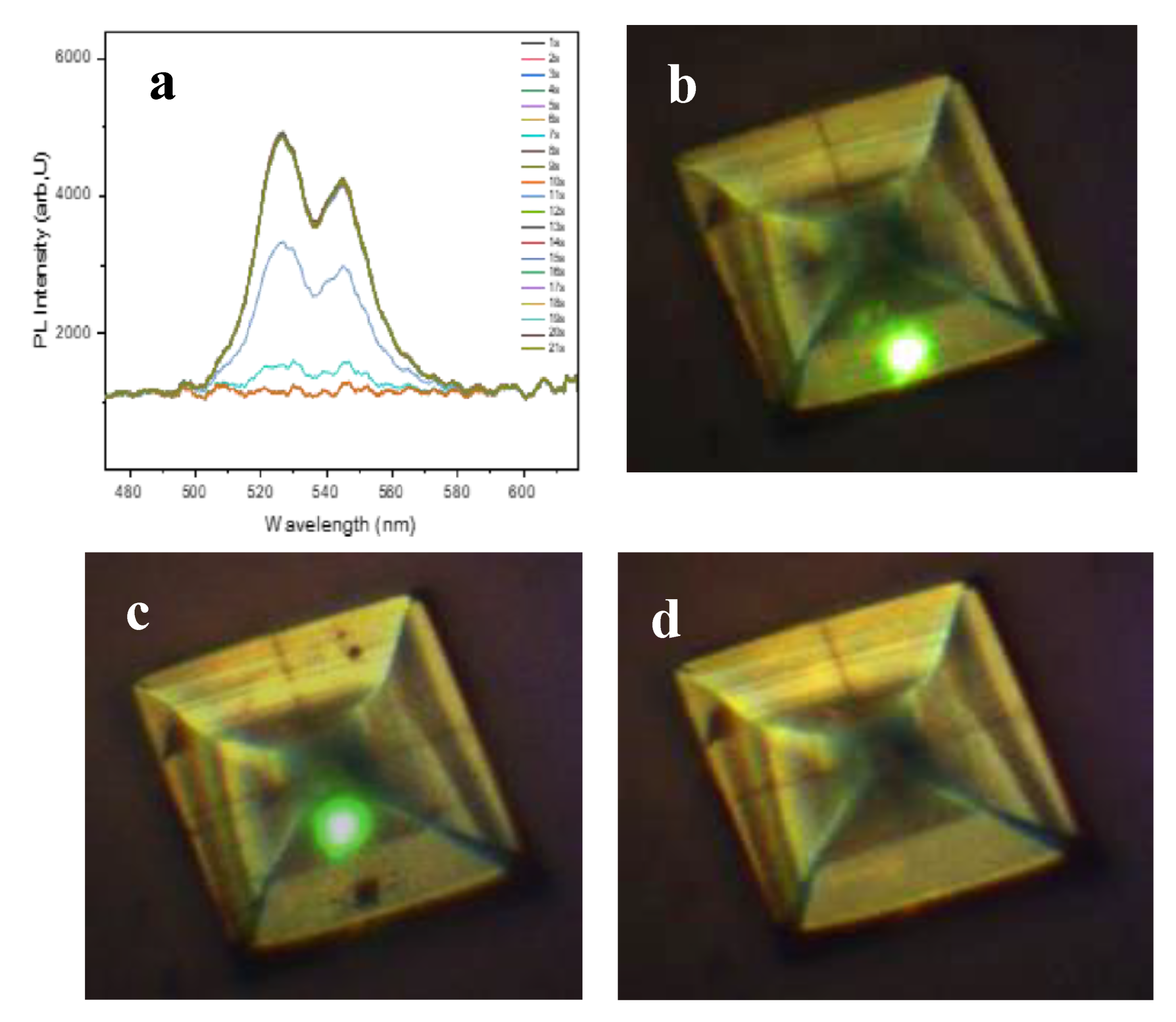 Preprints 193322 g009