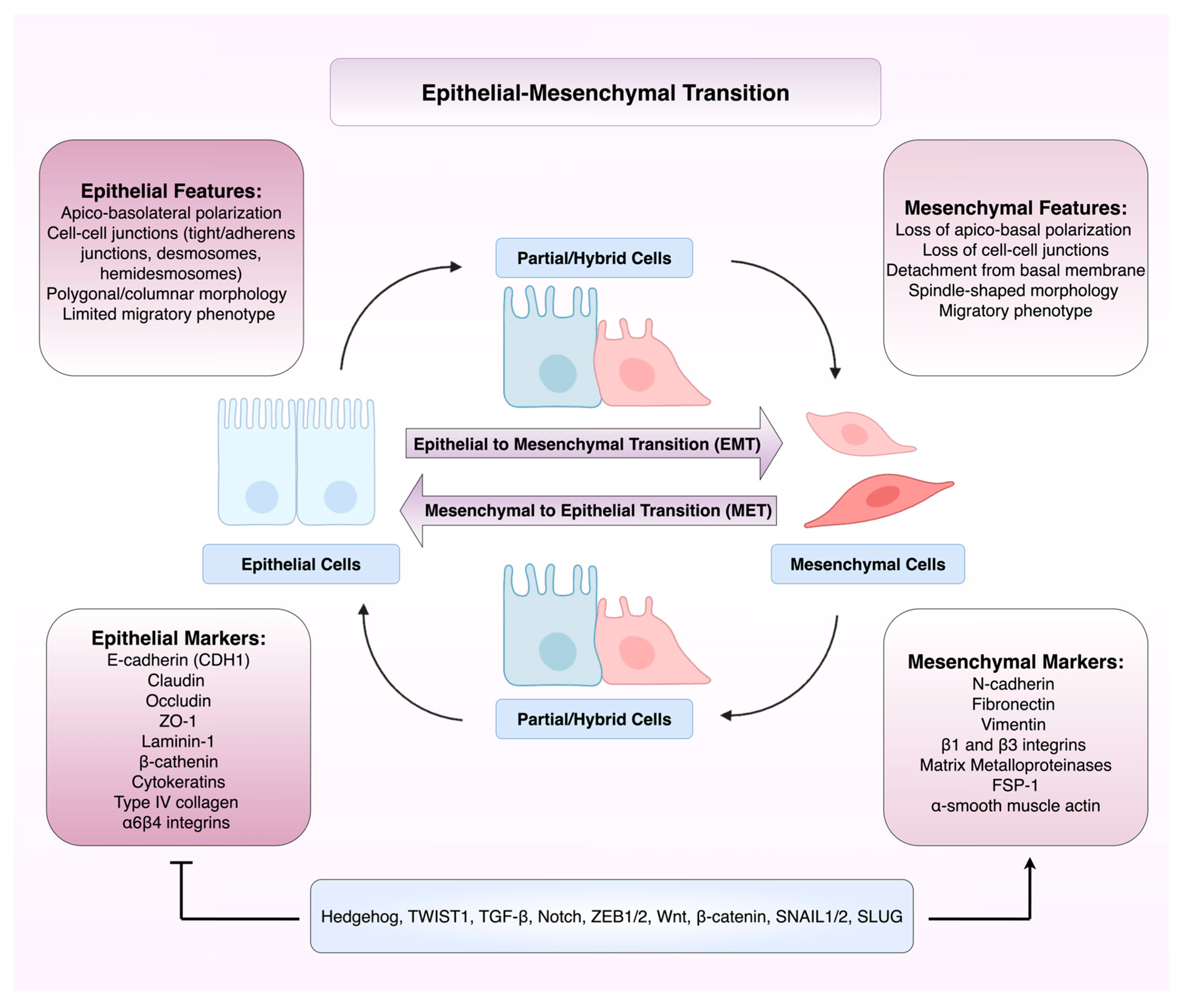 Preprints 176411 g001