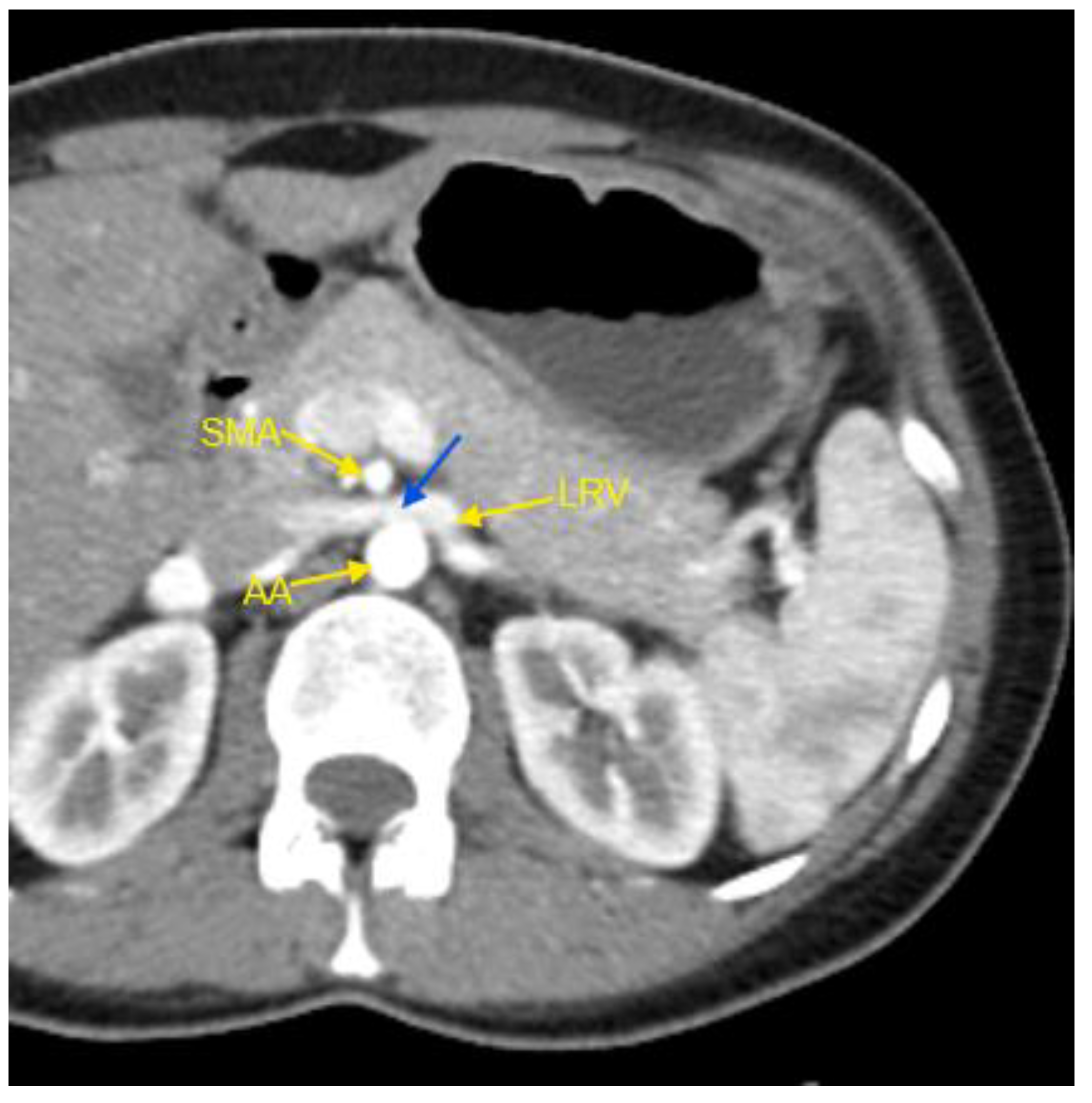 Preprints 144050 g001