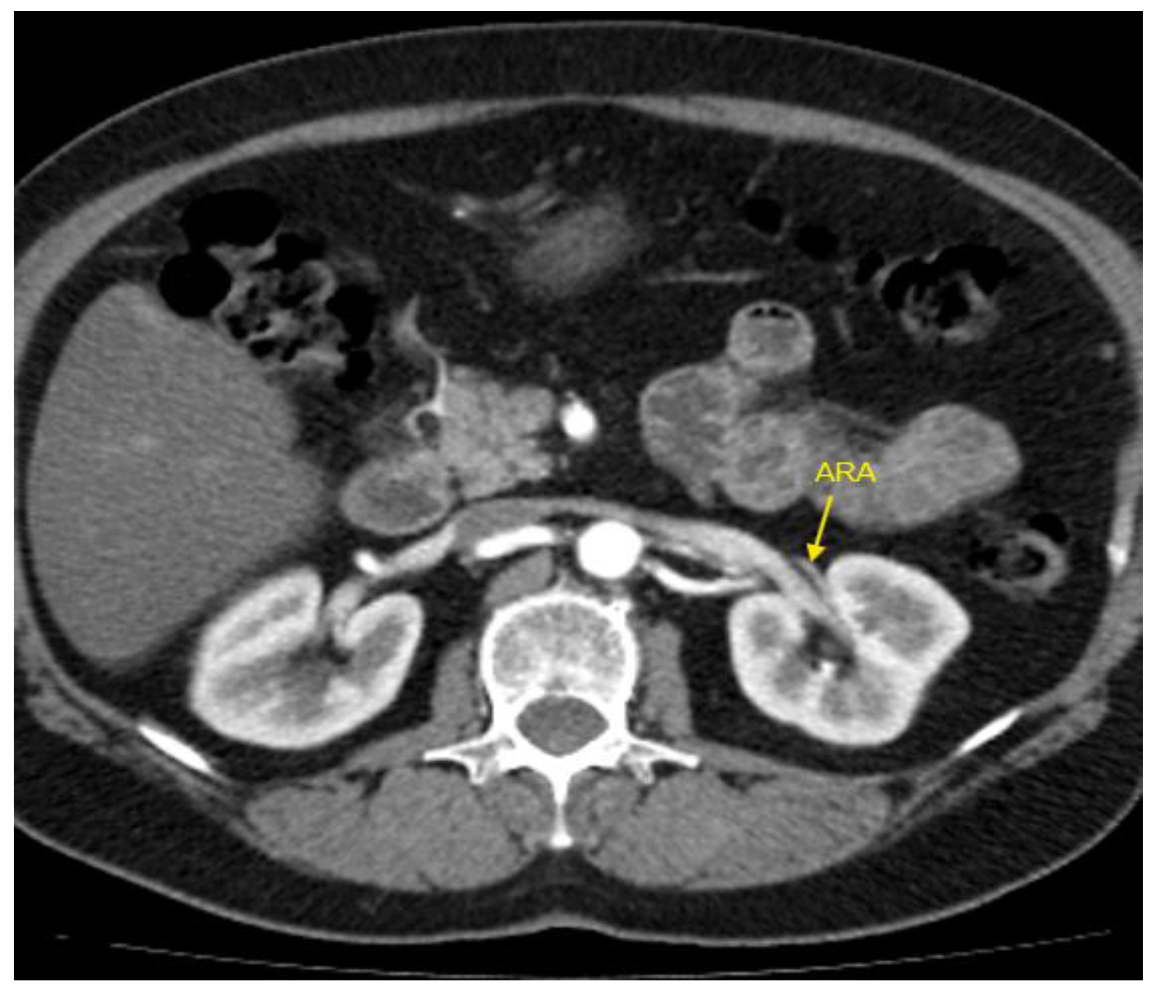 Preprints 144050 g002