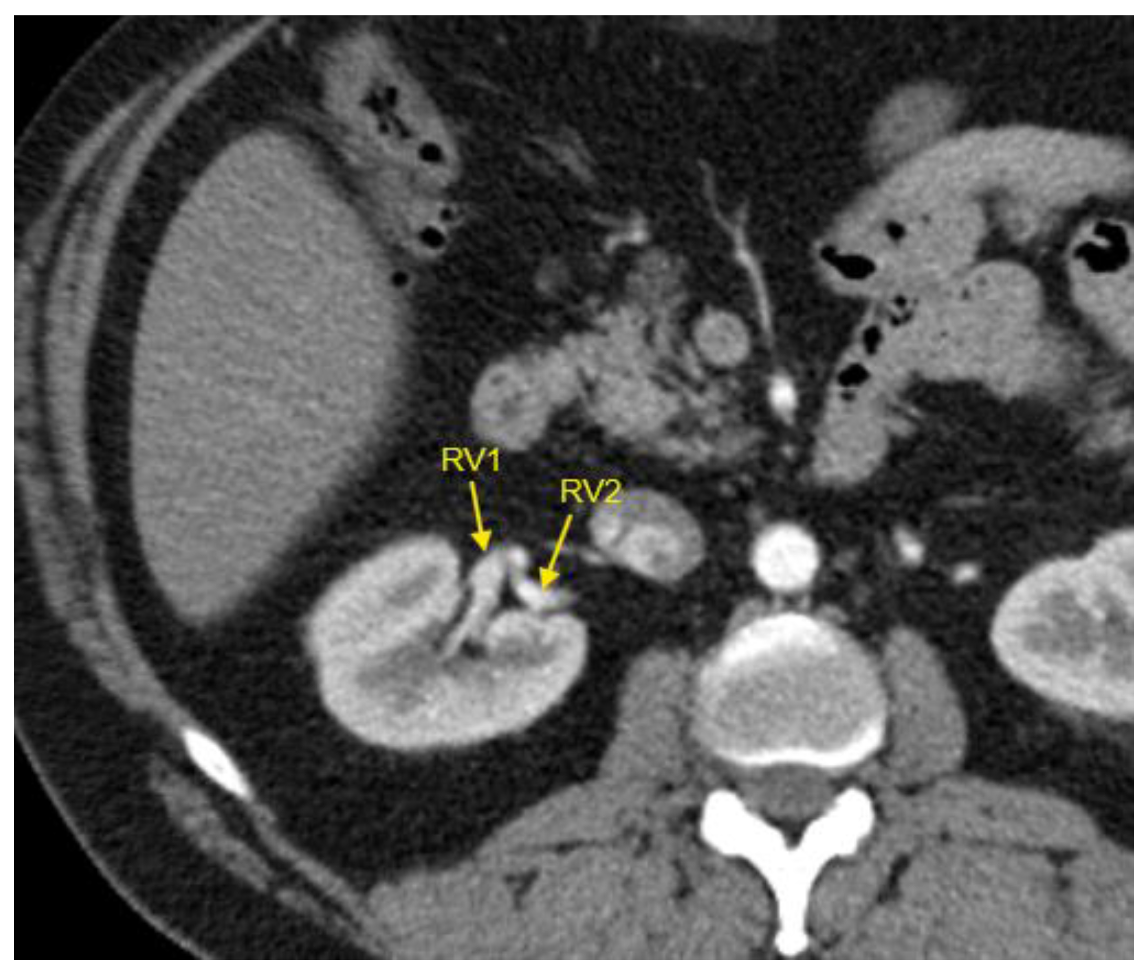 Preprints 144050 g005