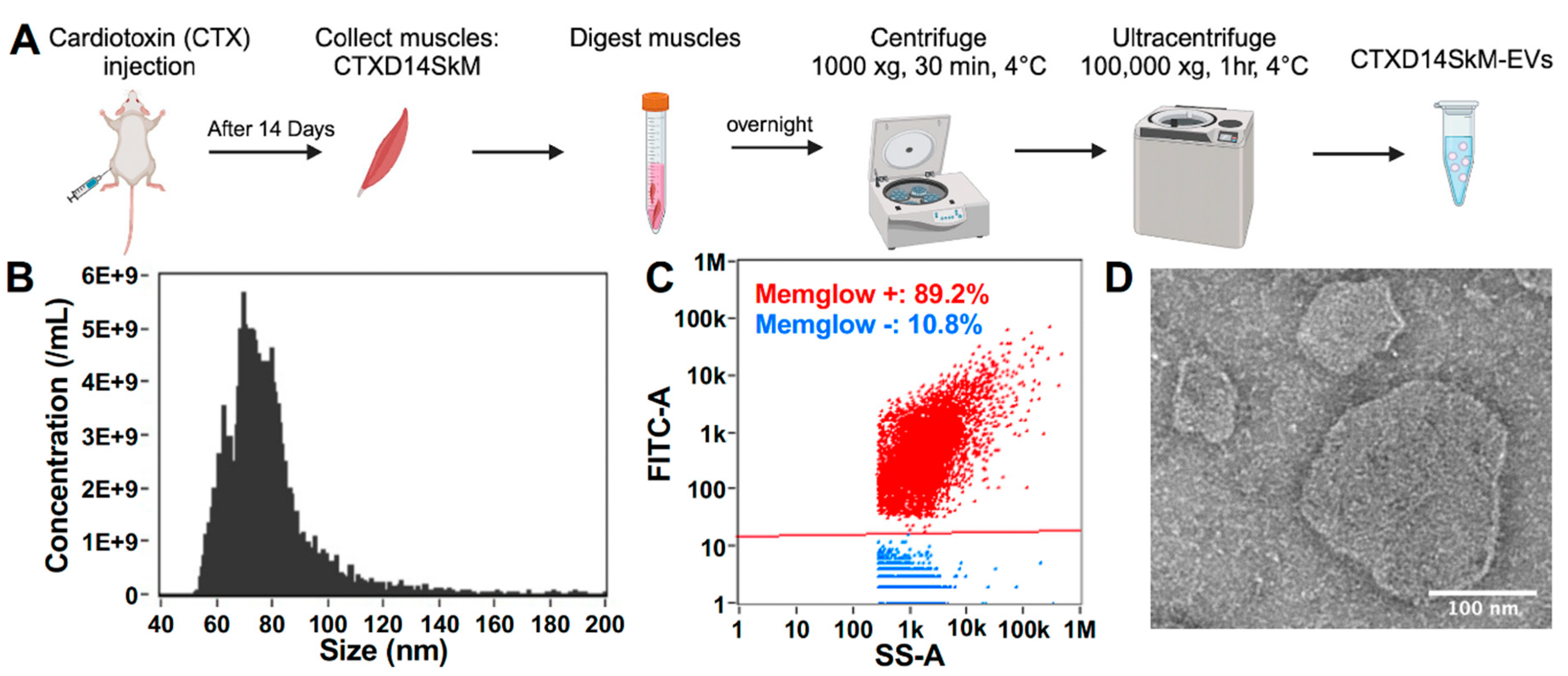 Preprints 148522 g001