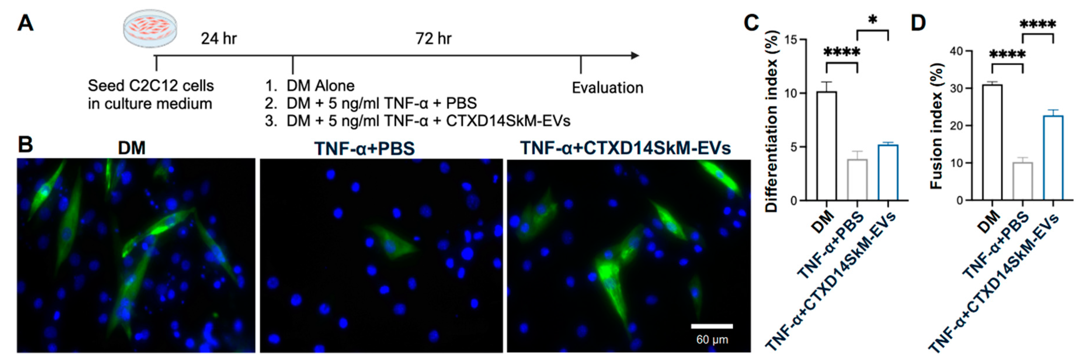 Preprints 148522 g002