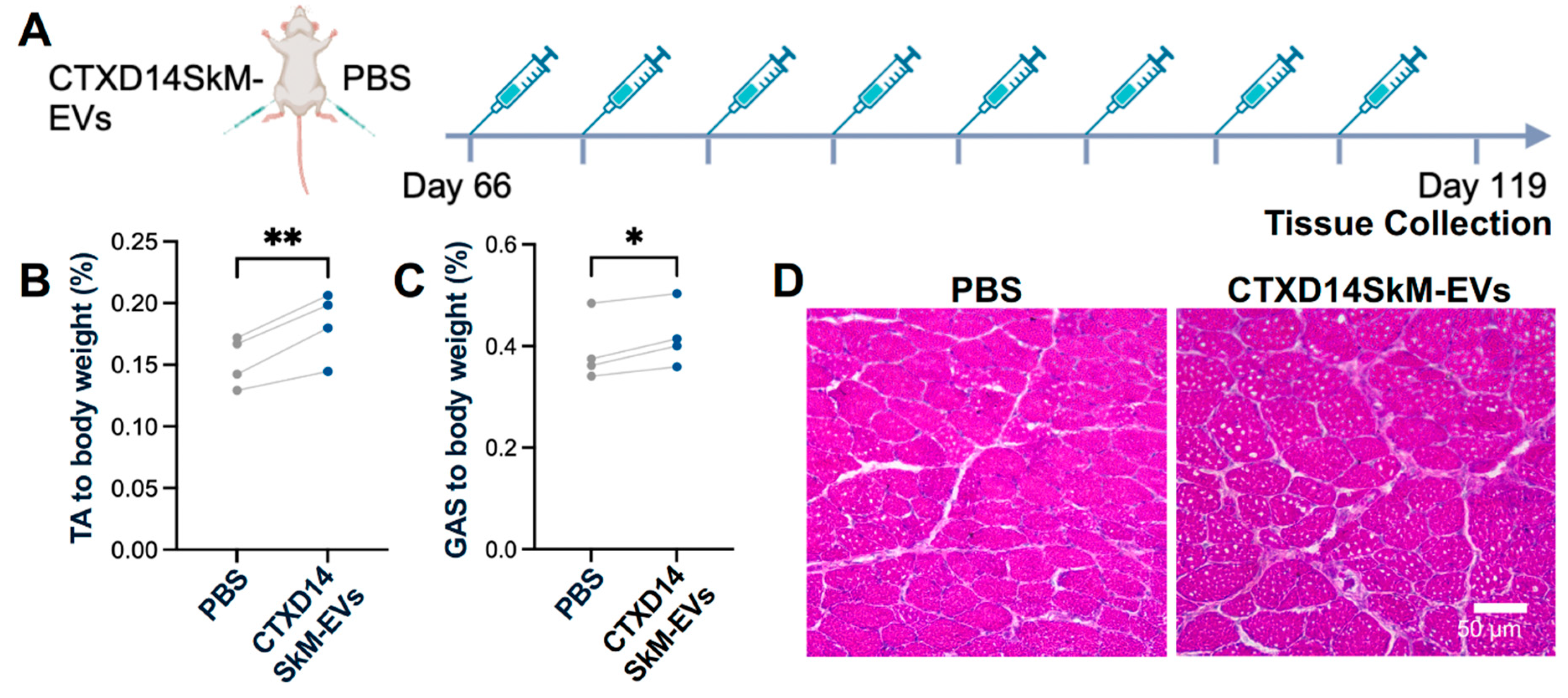 Preprints 148522 g003
