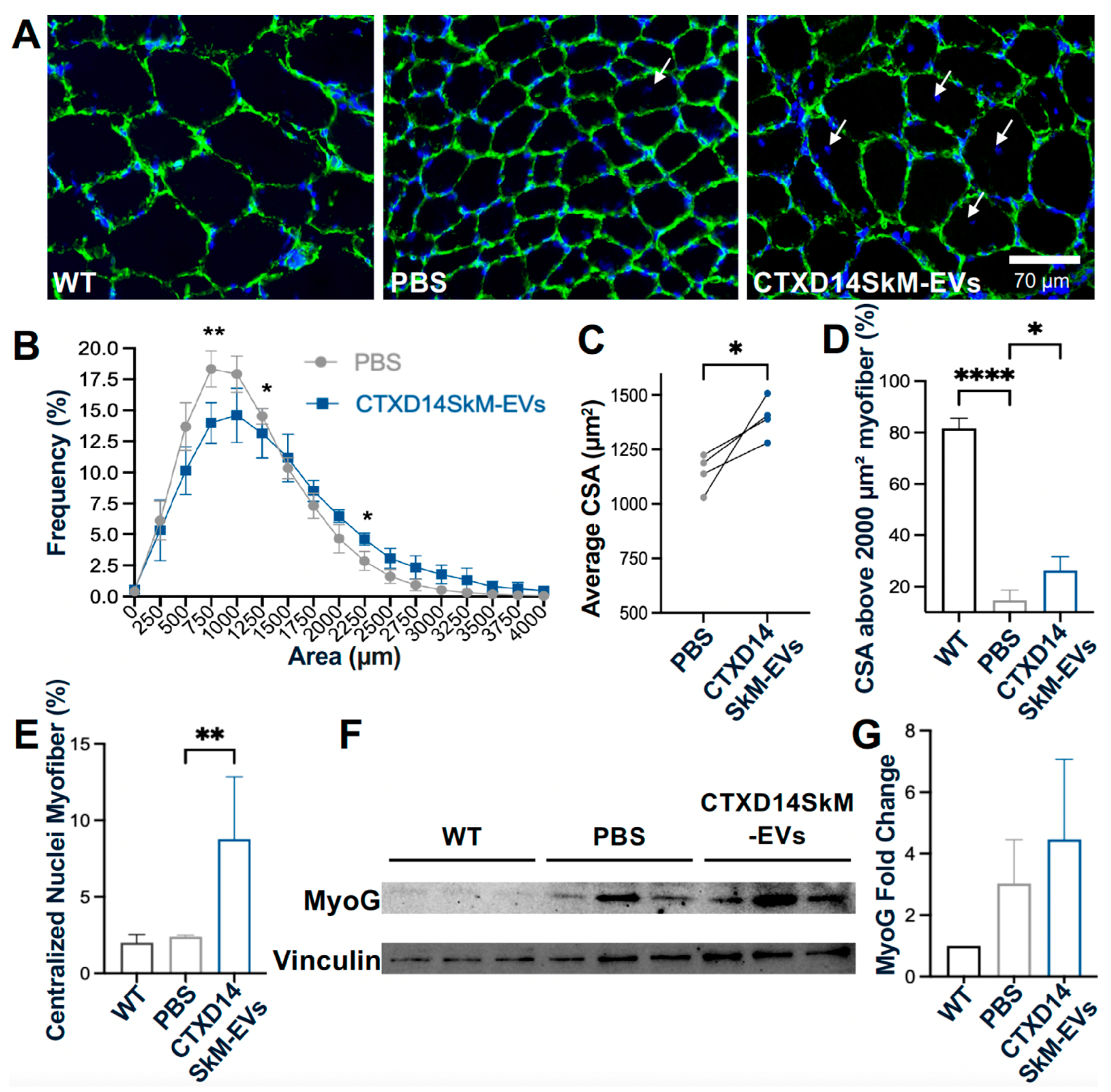 Preprints 148522 g004