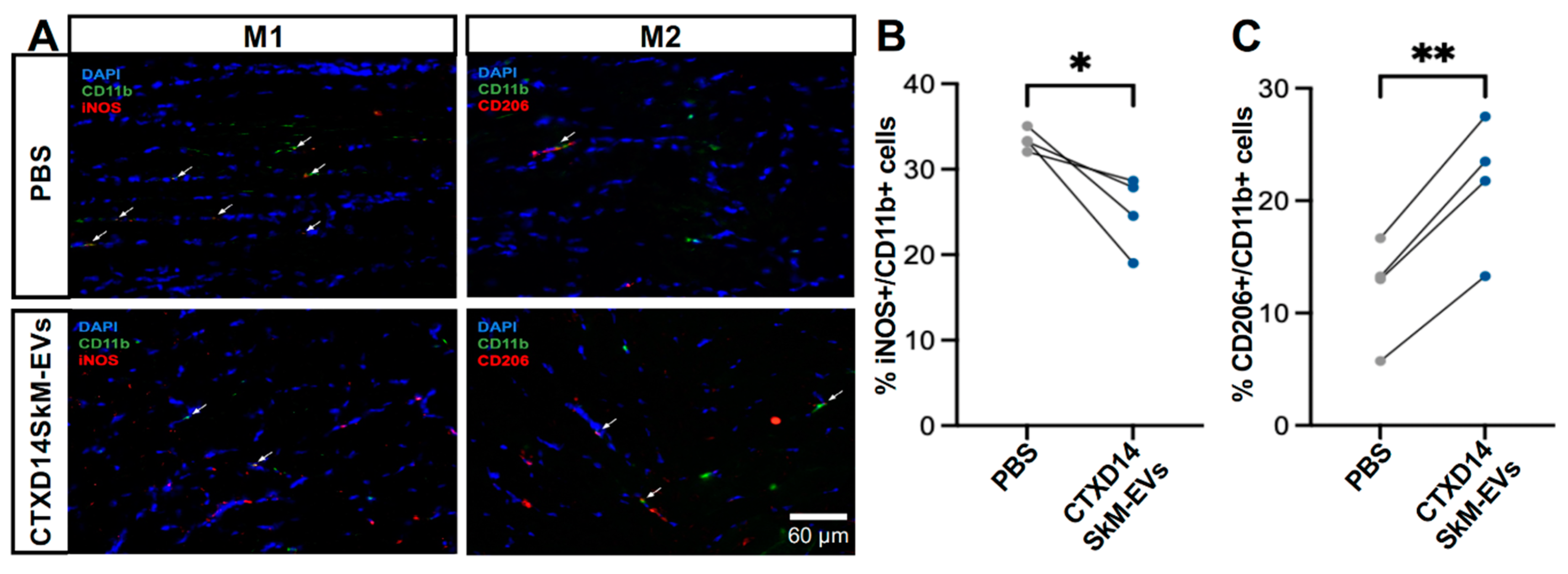 Preprints 148522 g005