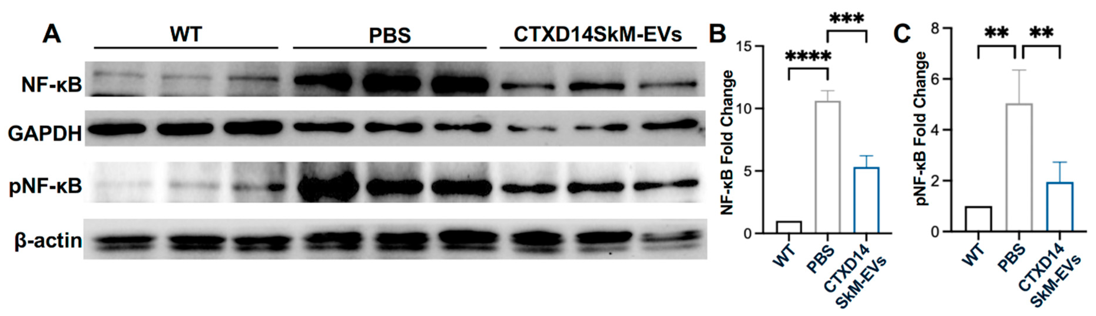 Preprints 148522 g006