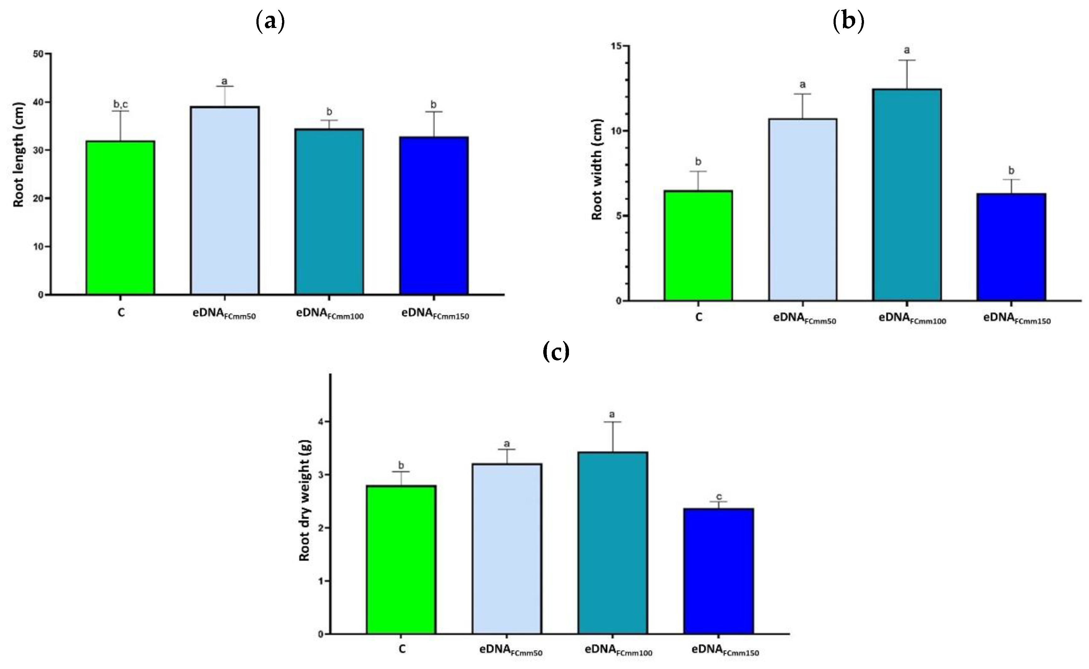 Preprints 189482 g002
