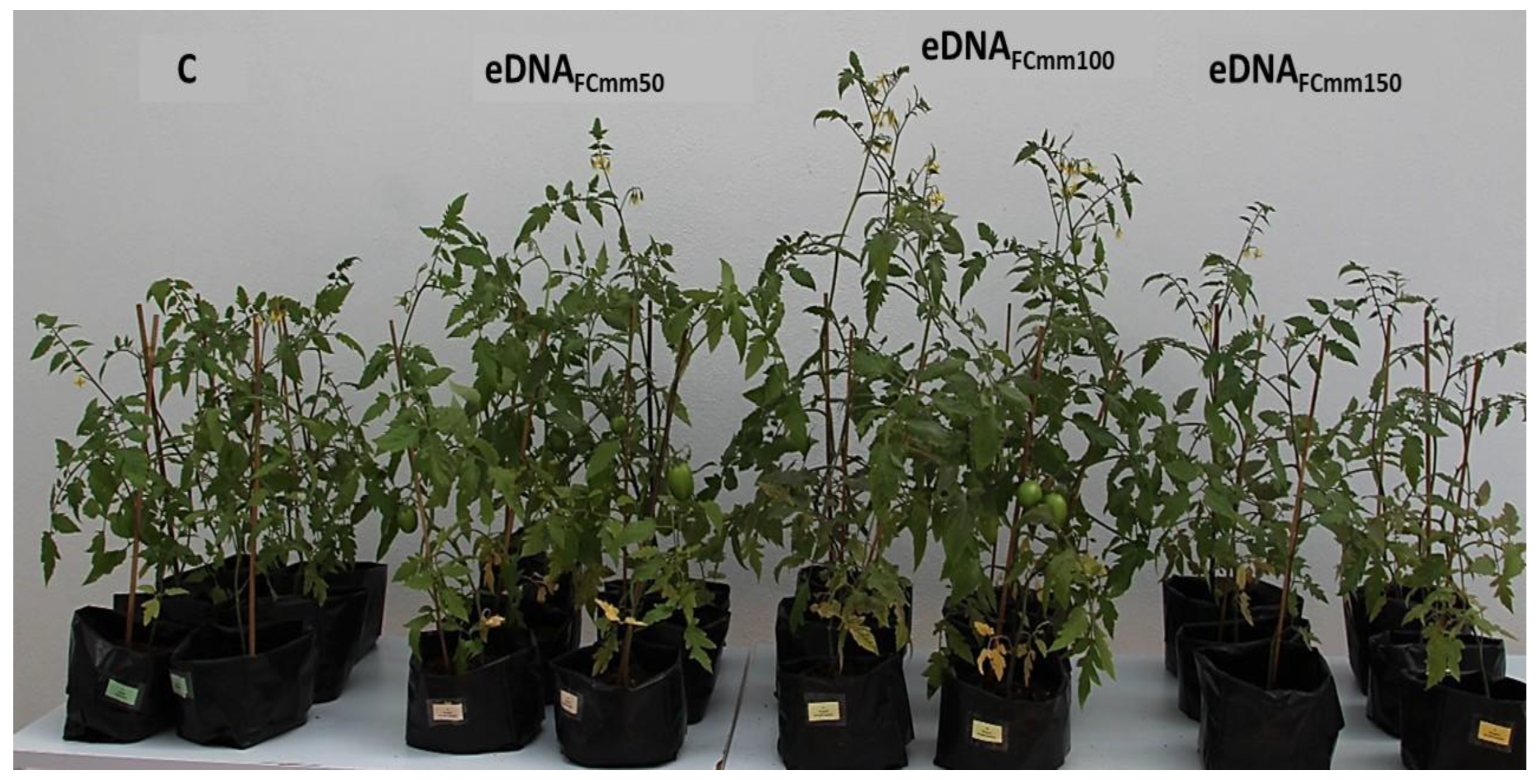 Preprints 189482 g004