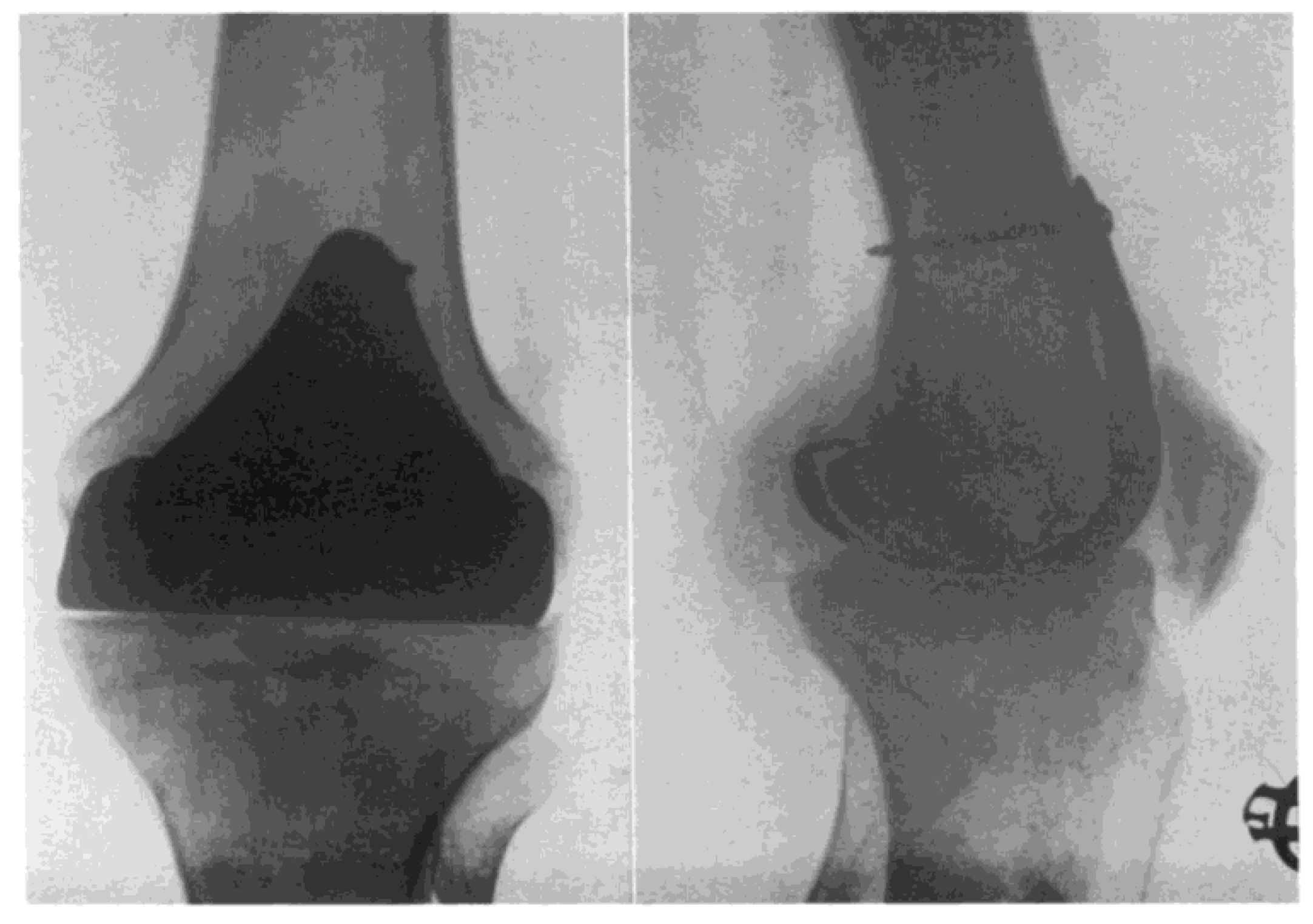 Preprints 184393 g003