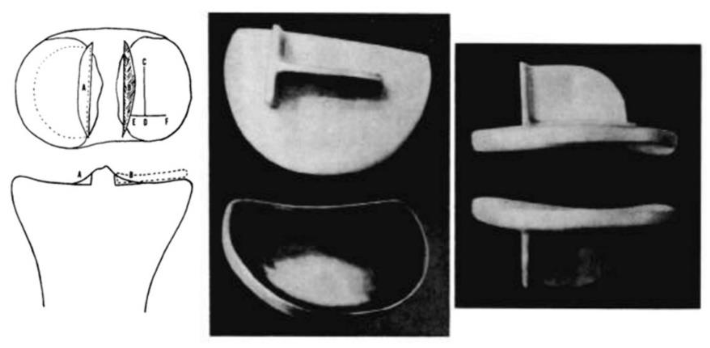 Preprints 184393 g004