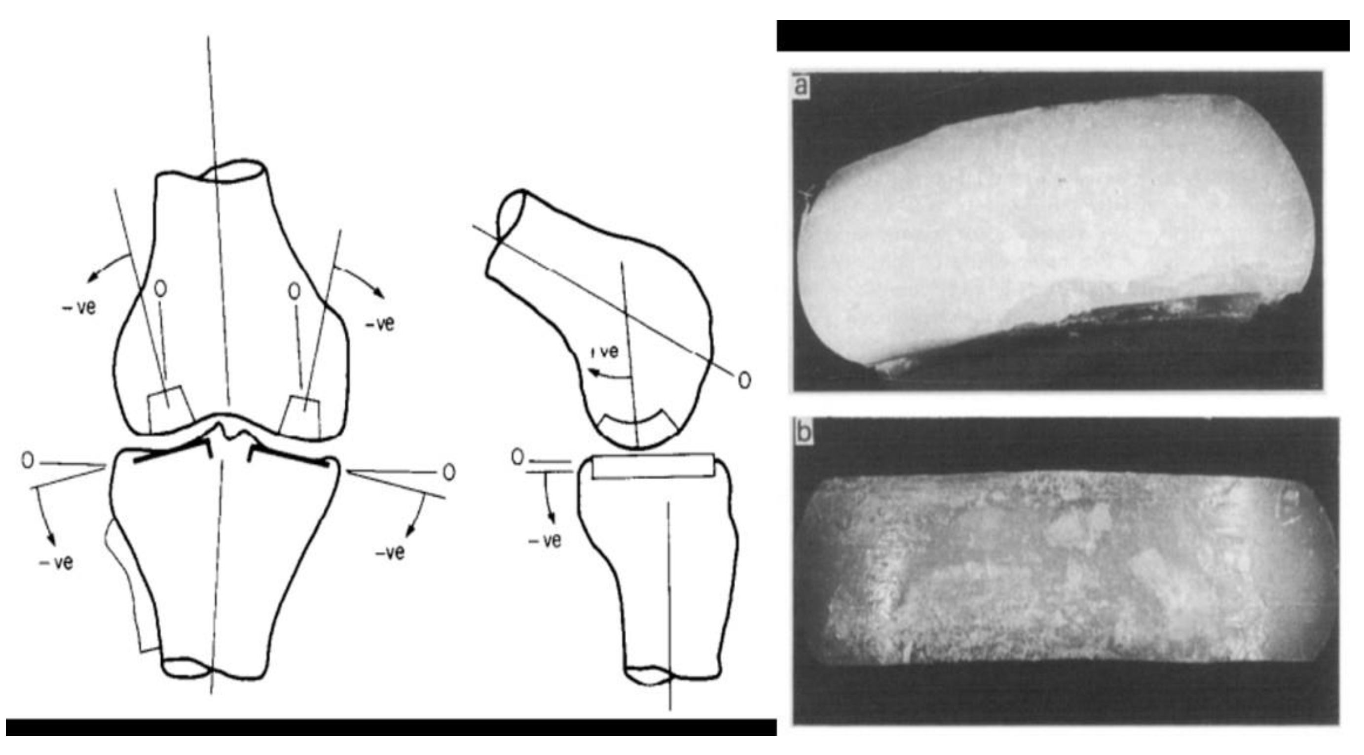 Preprints 184393 g008