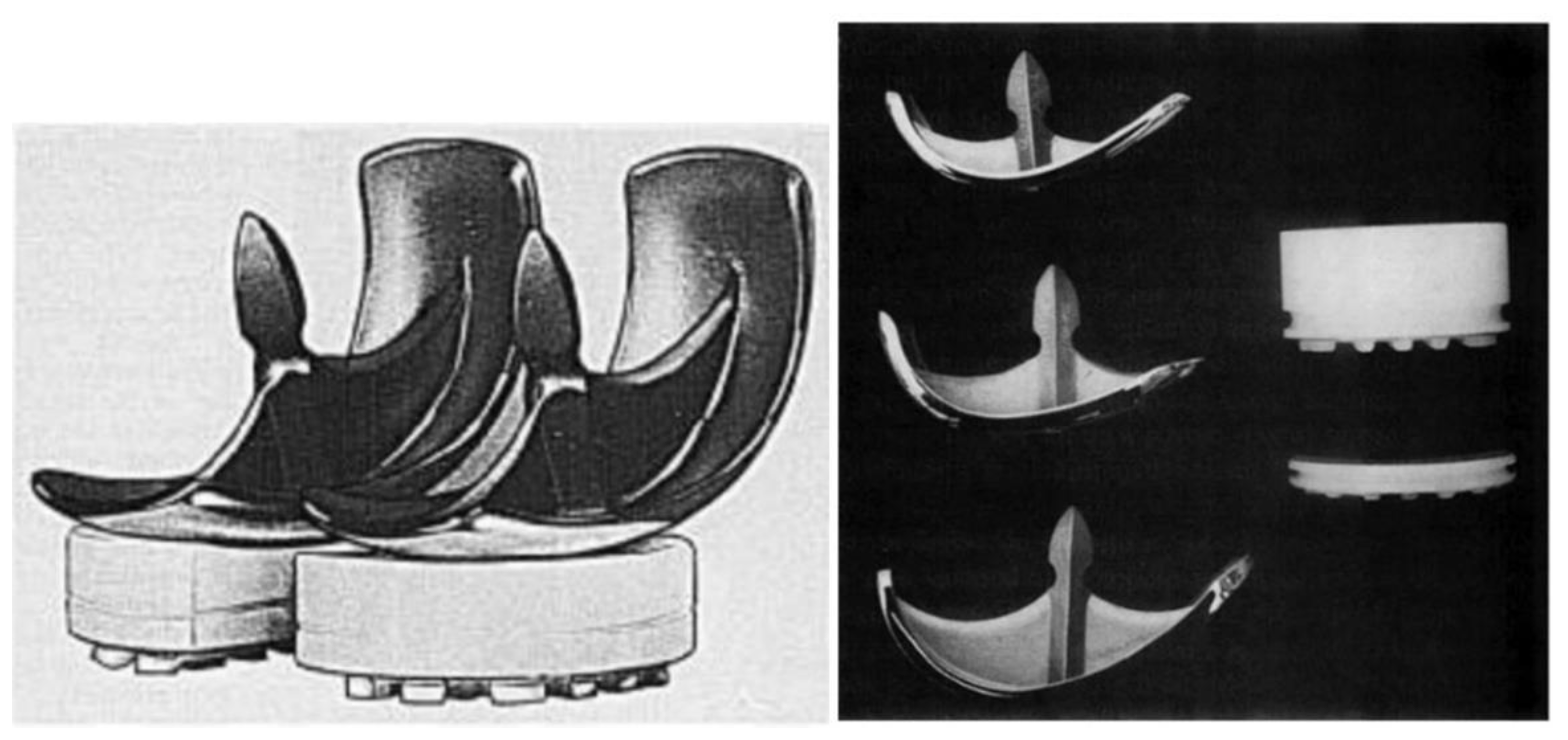 Preprints 184393 g011