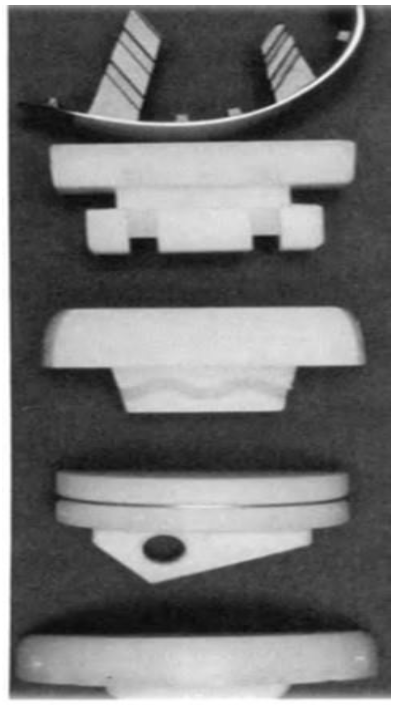 Preprints 184393 g012