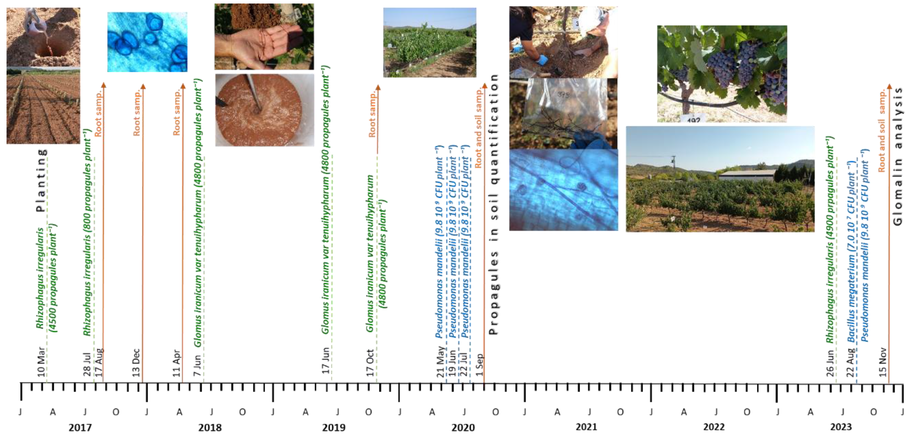 Preprints 178026 g002