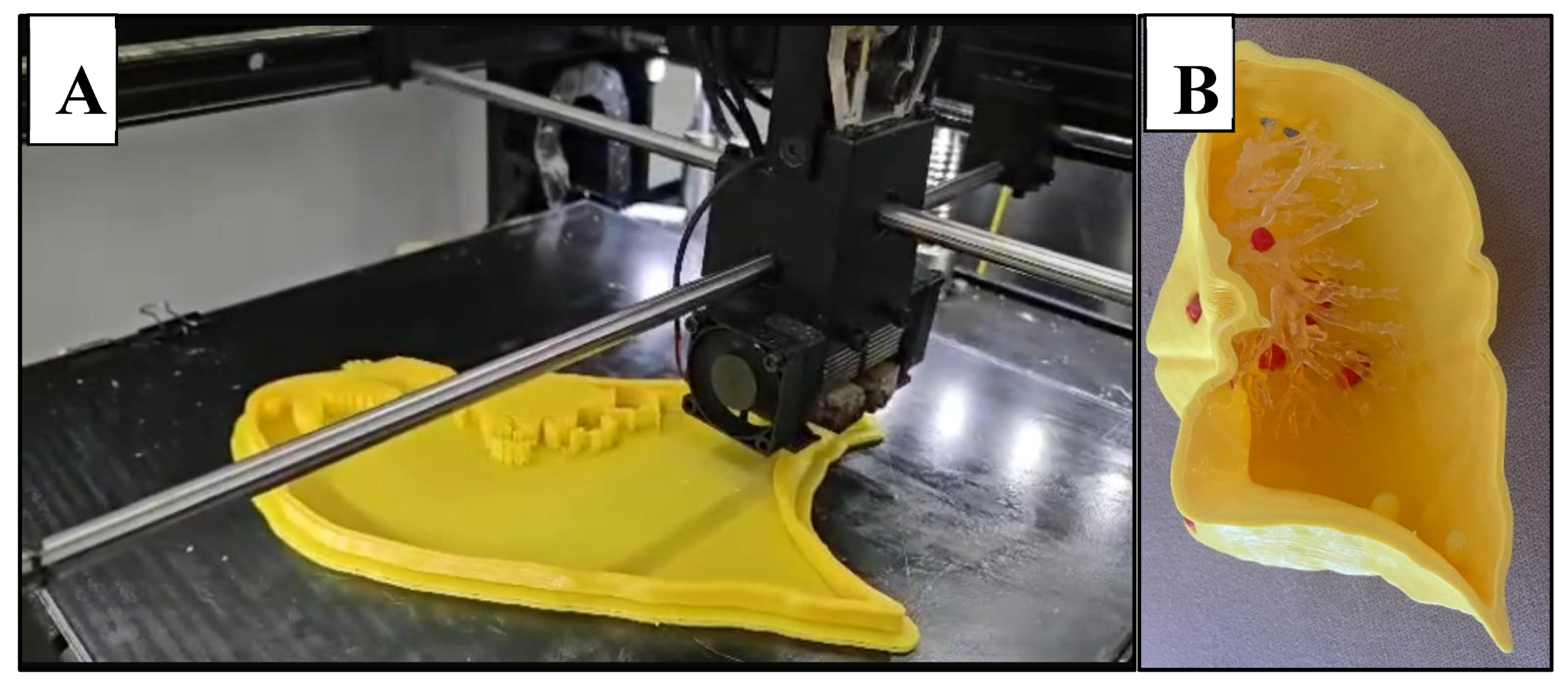 Preprints 139782 g005