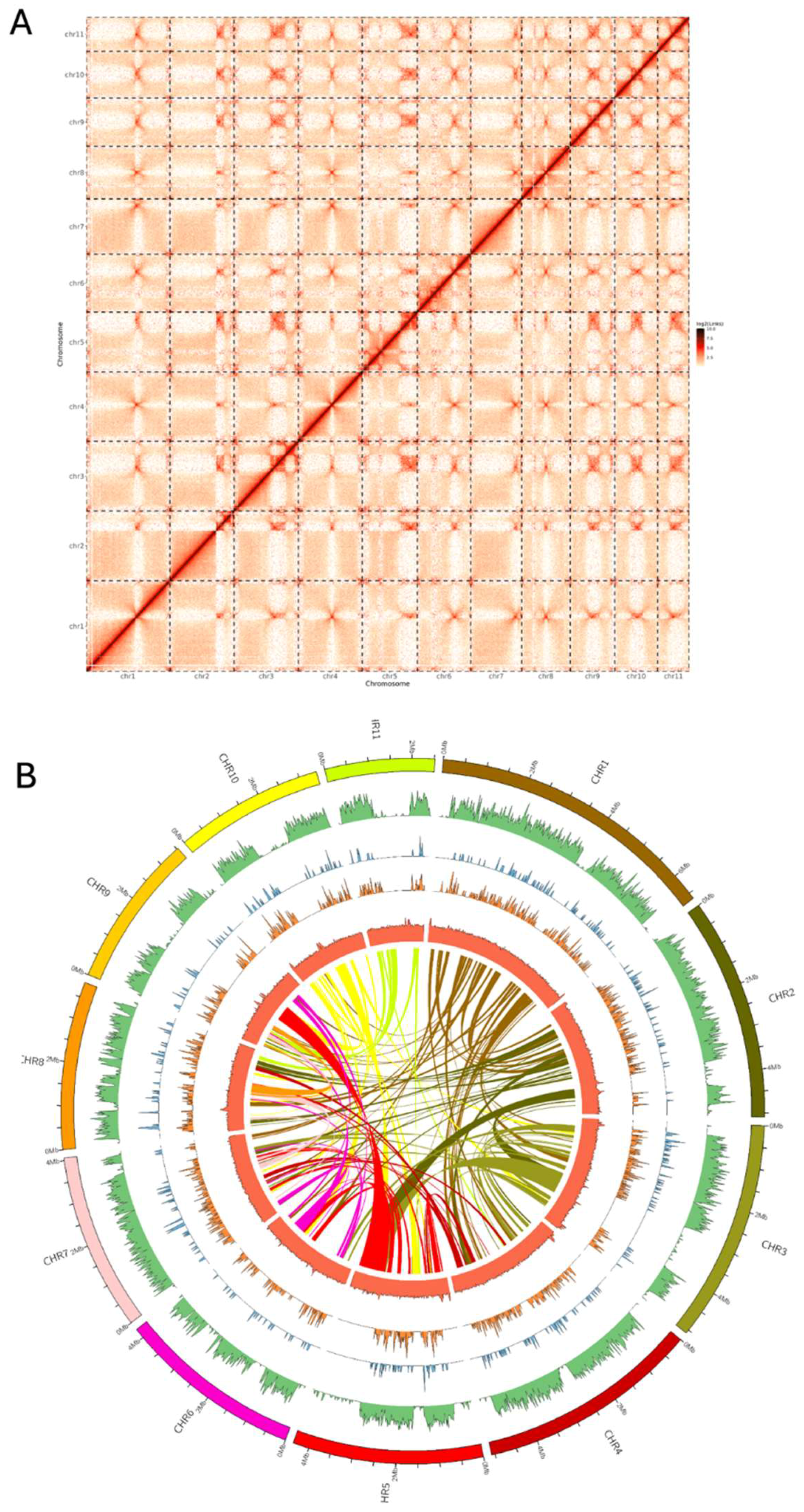 Preprints 179800 g002
