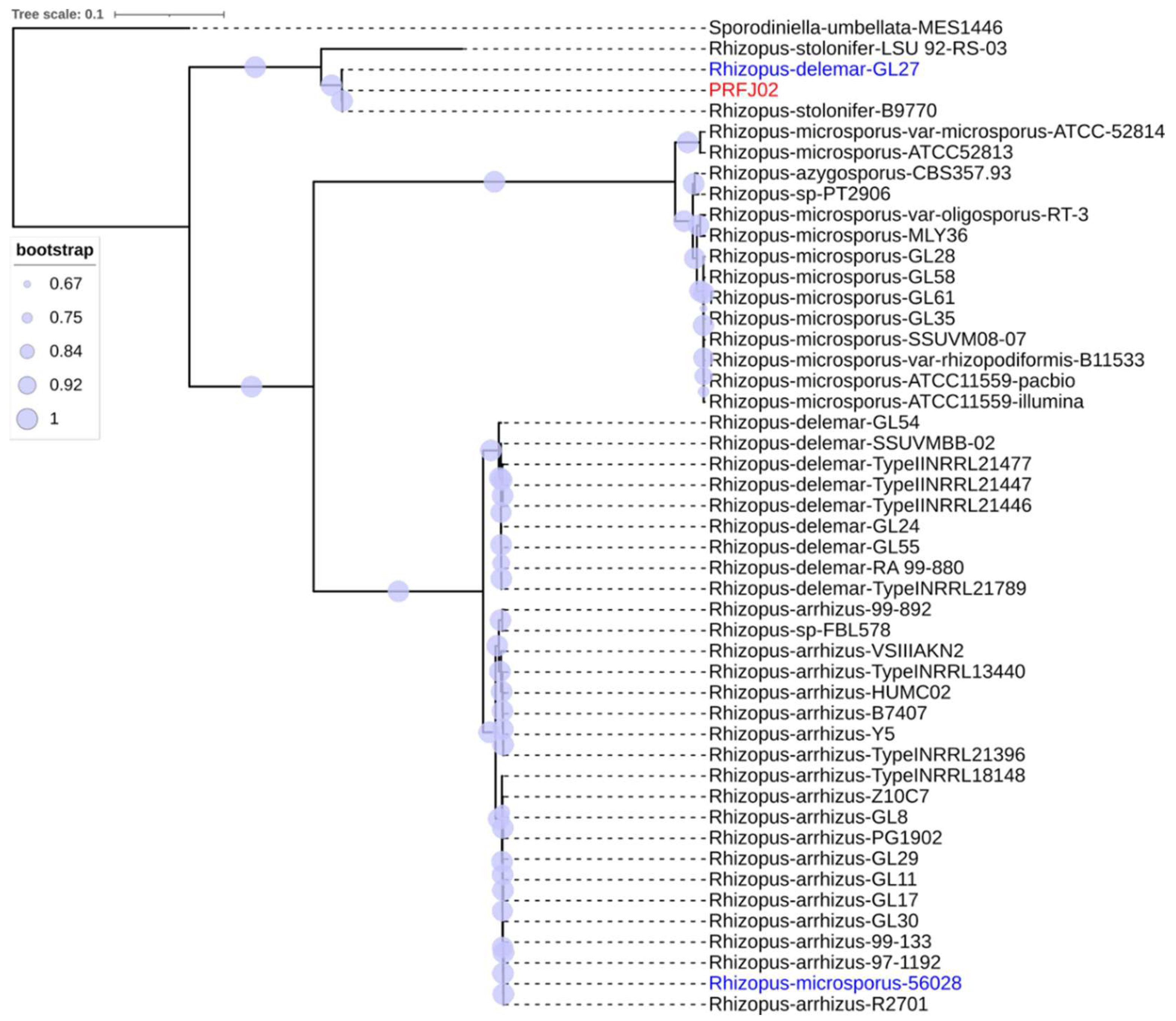 Preprints 179800 g003