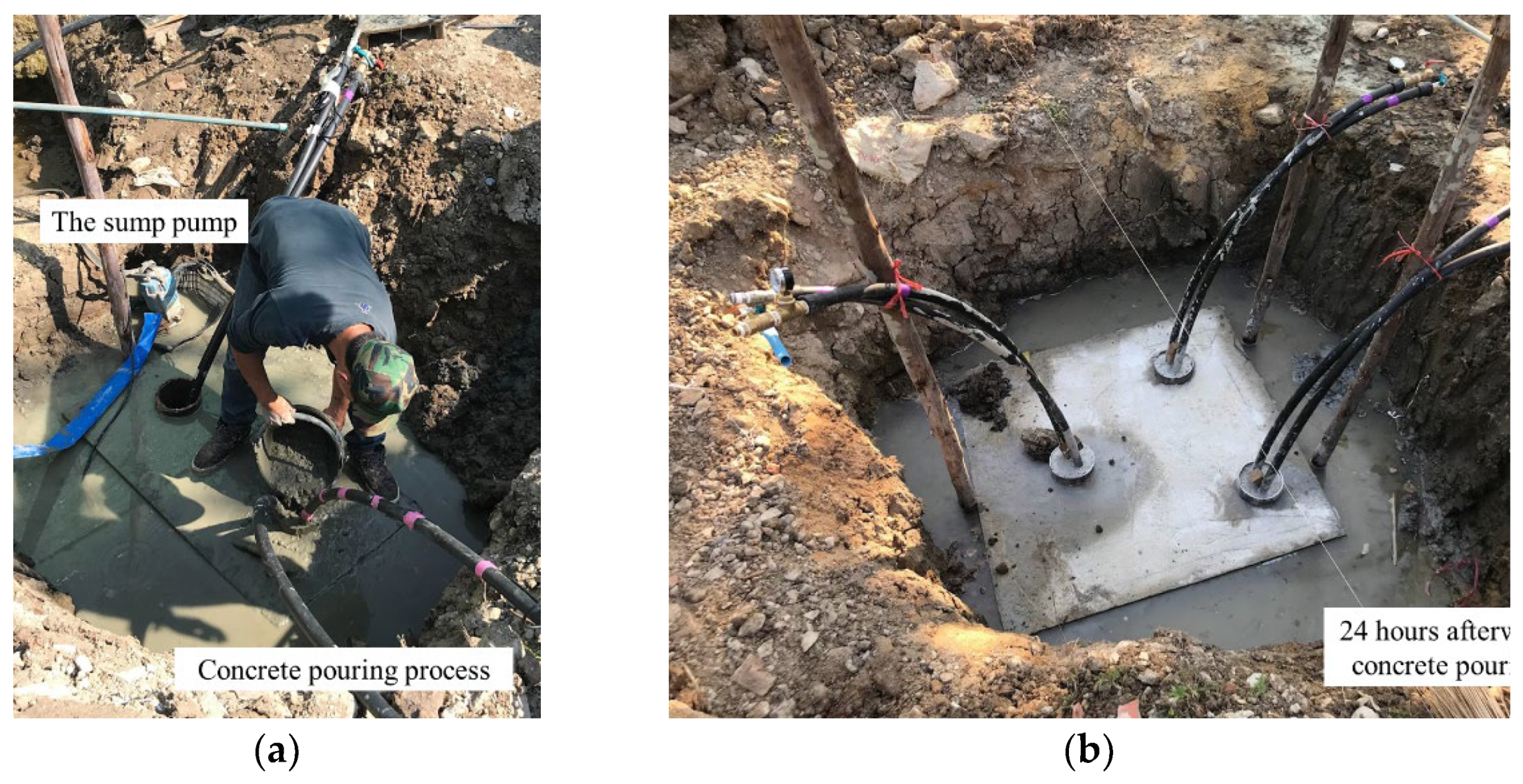 Preprints 118231 g020