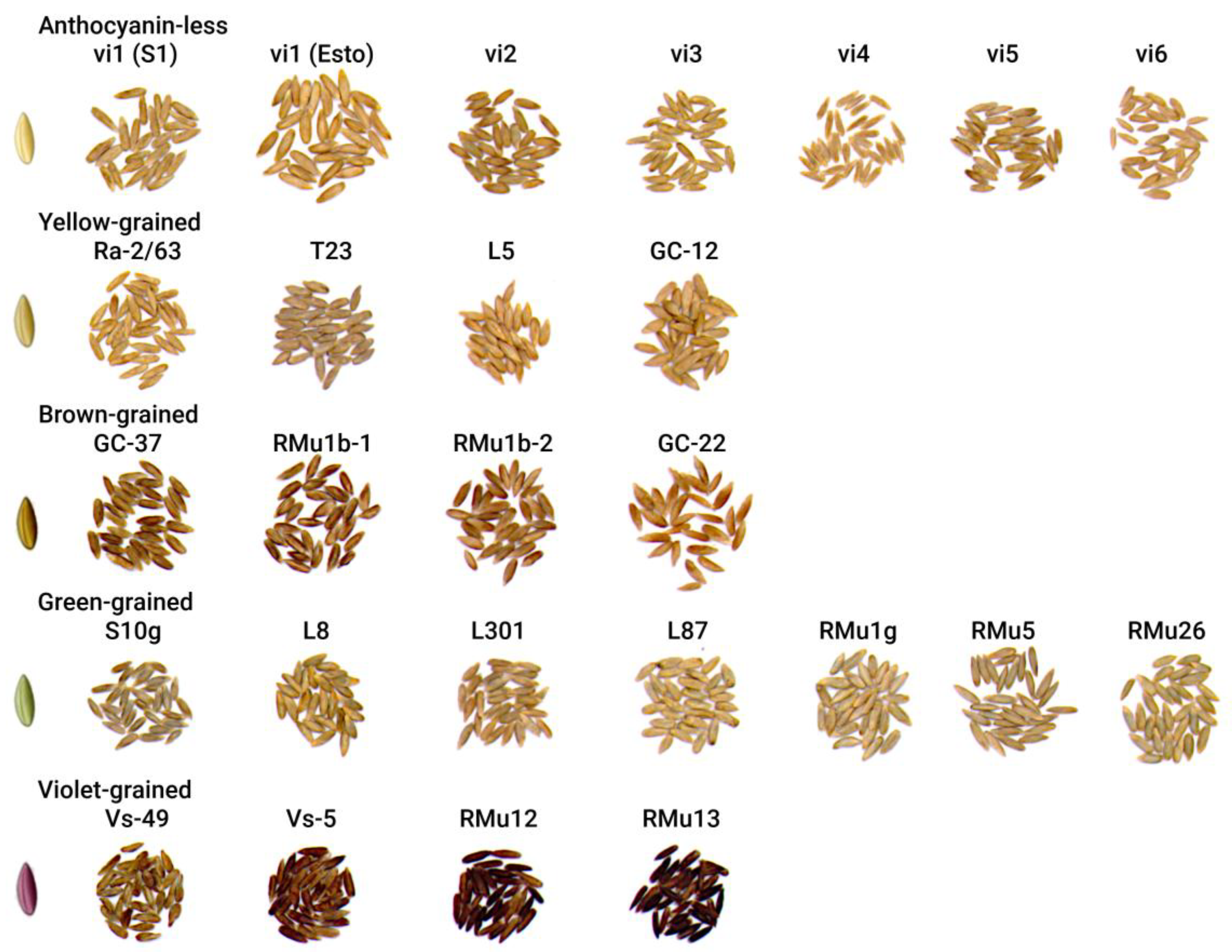 Preprints 168854 g001