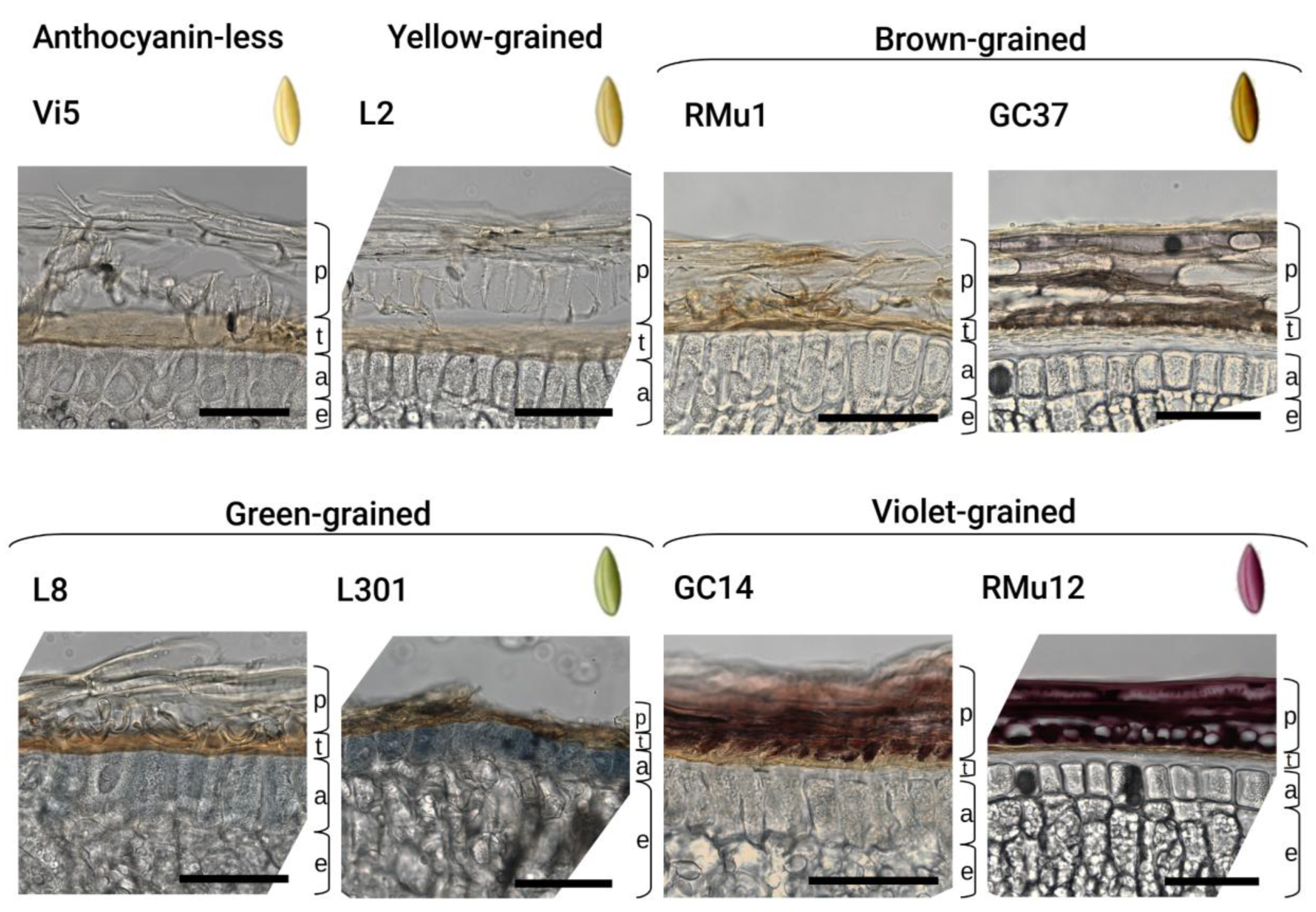 Preprints 168854 g002