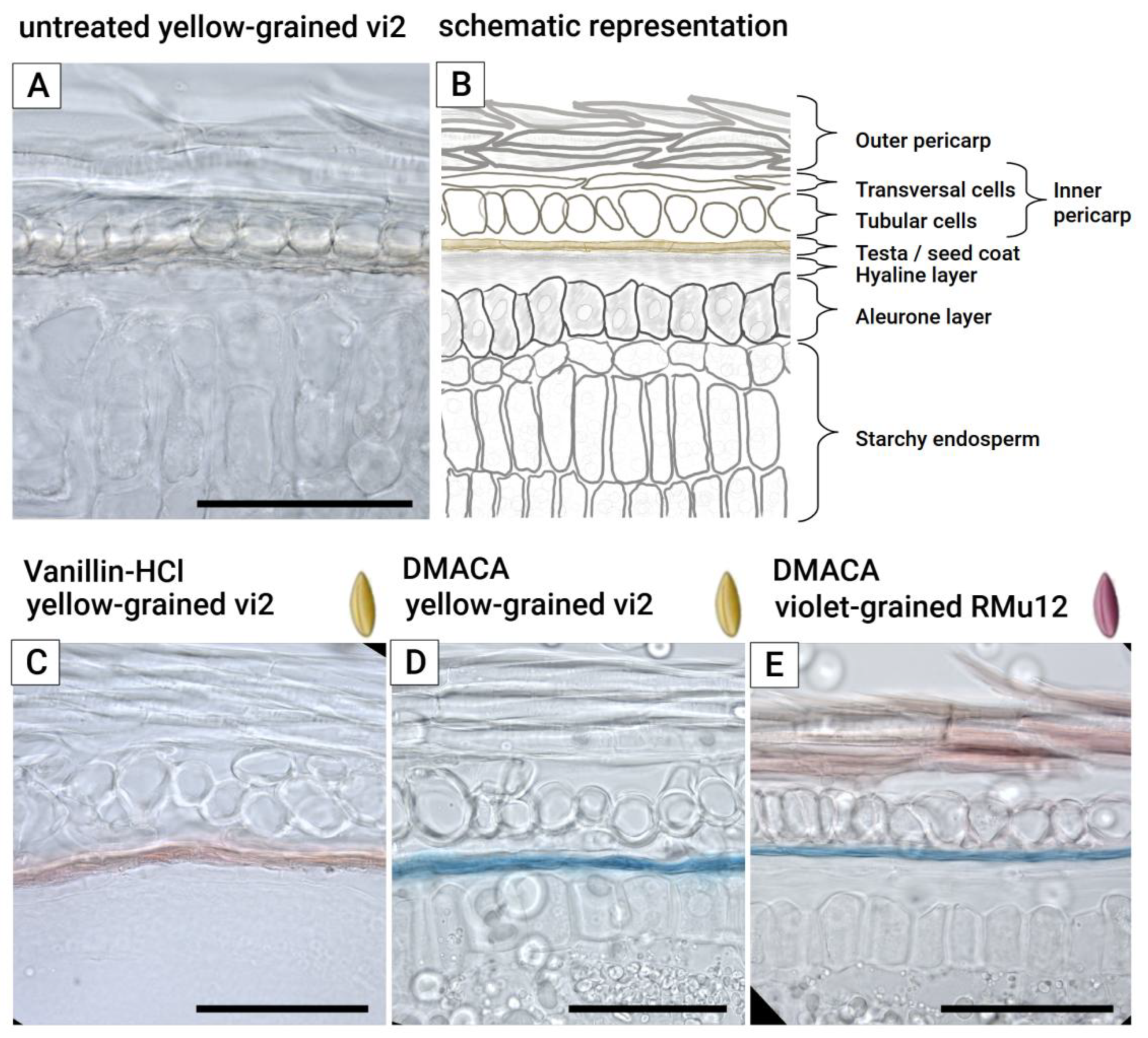 Preprints 168854 g003