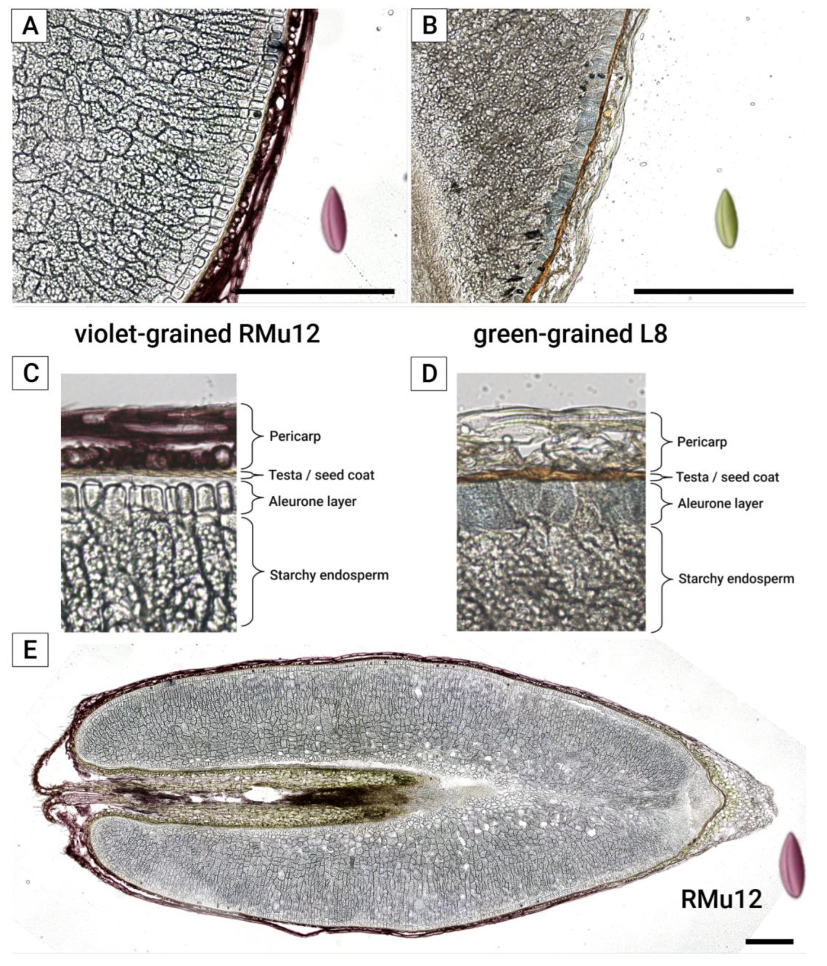 Preprints 168854 g004