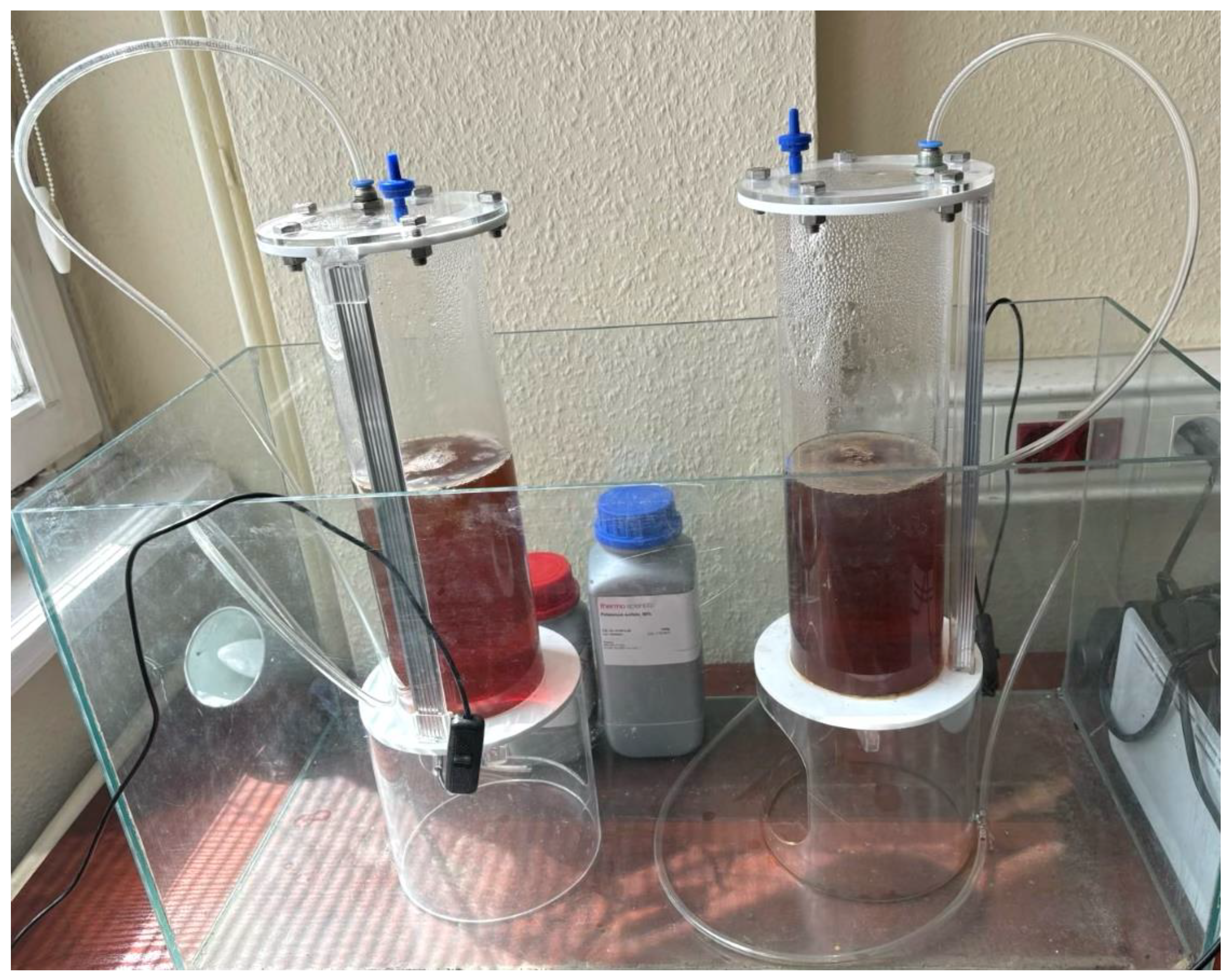 Preprints 181240 g001