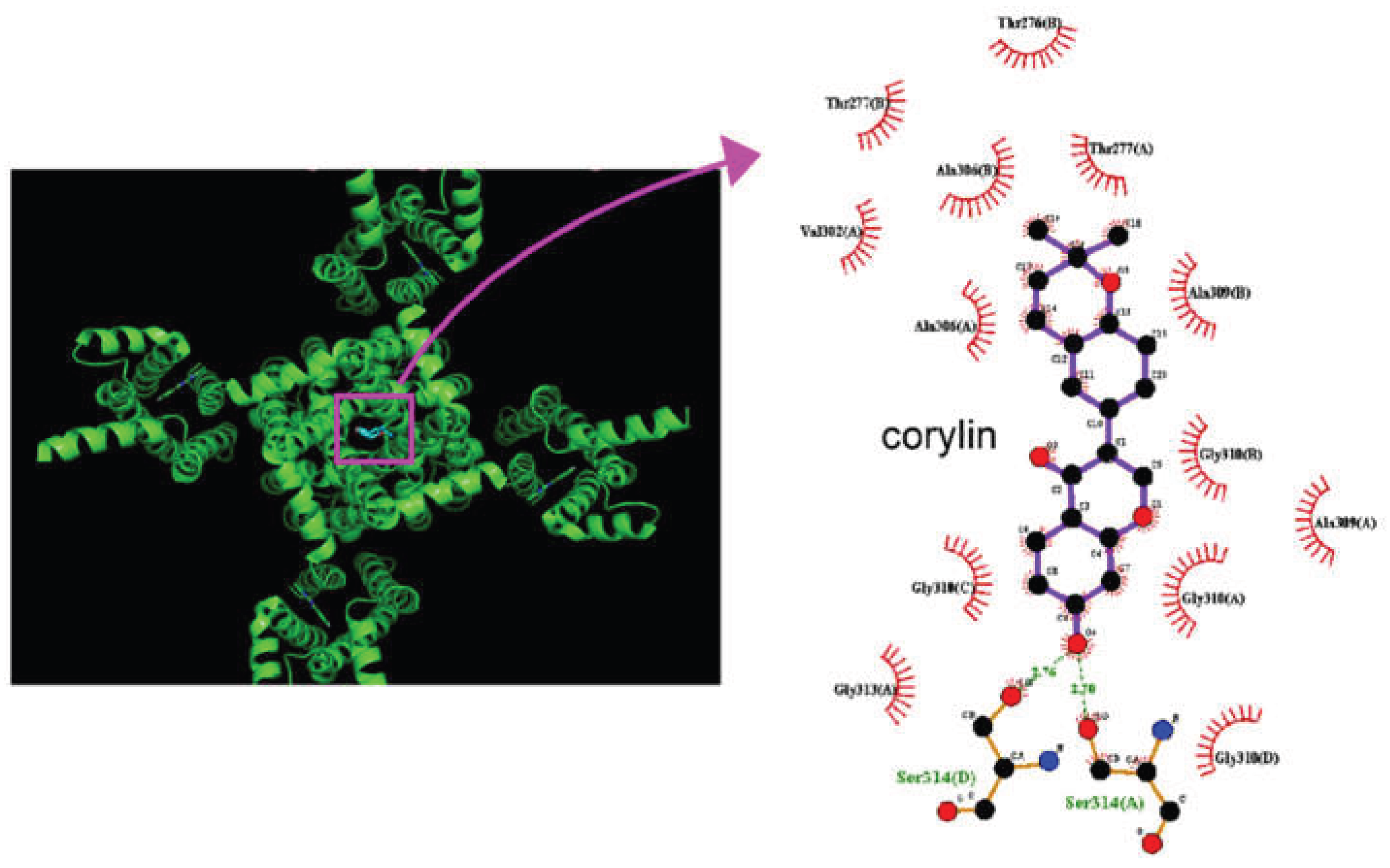 Preprints 204120 g008