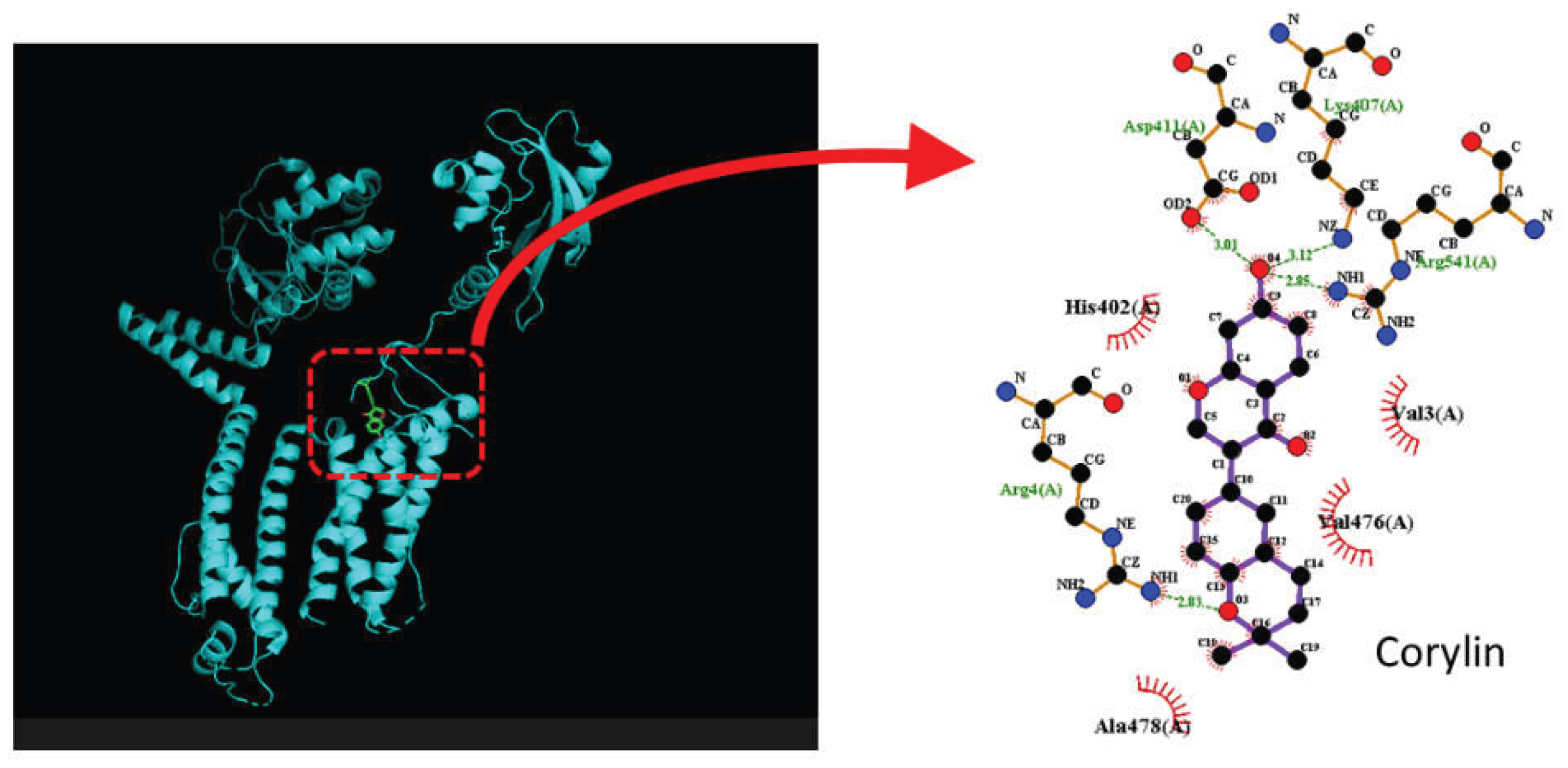 Preprints 204120 g009