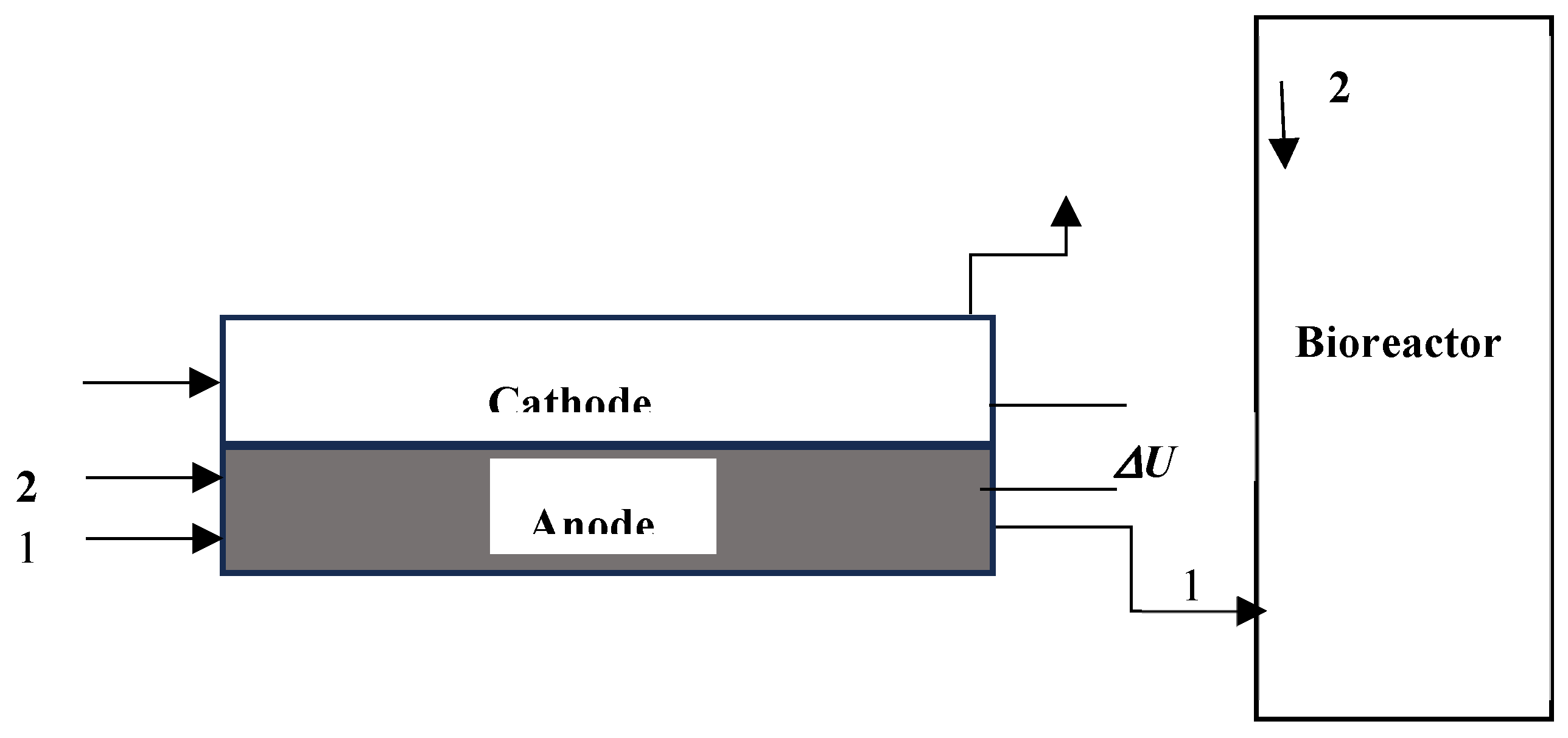 Preprints 162161 g001
