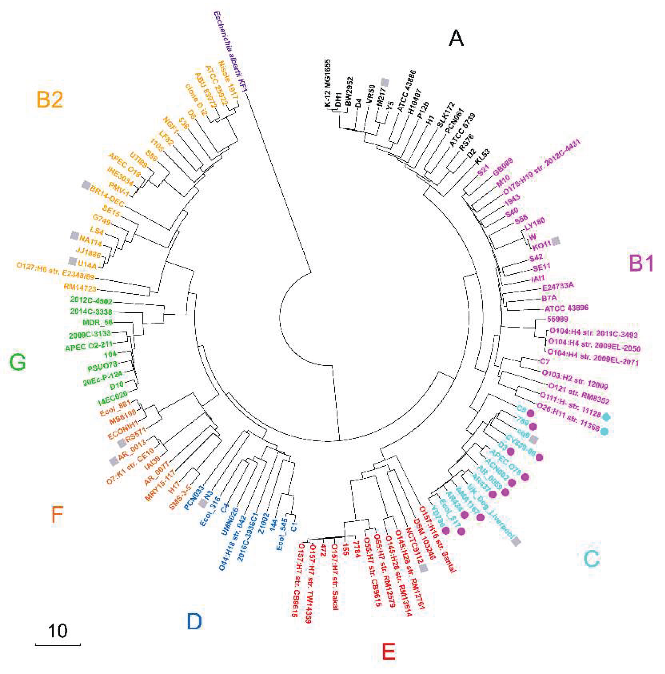 Preprints 159759 g001