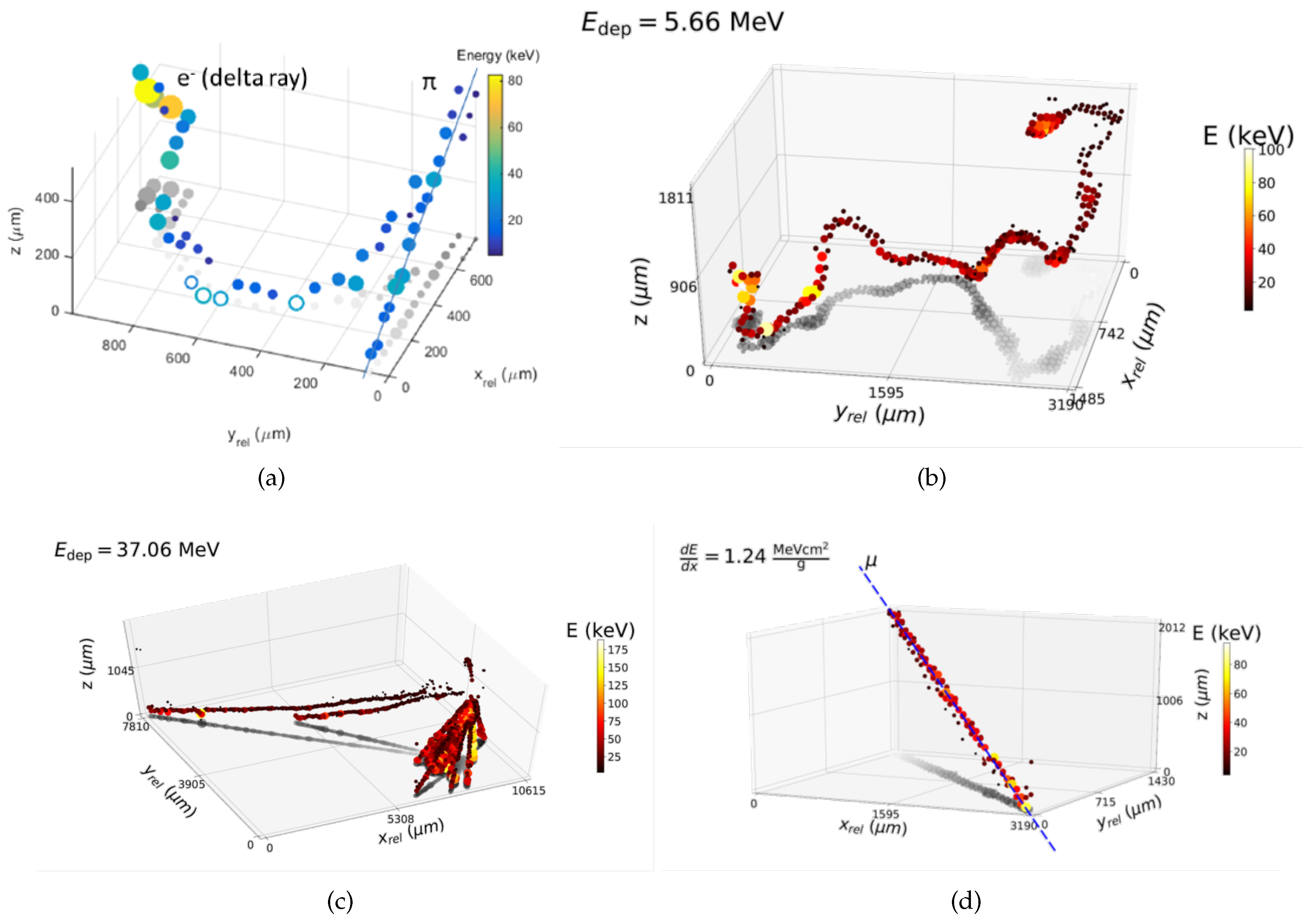 Preprints 90689 g004