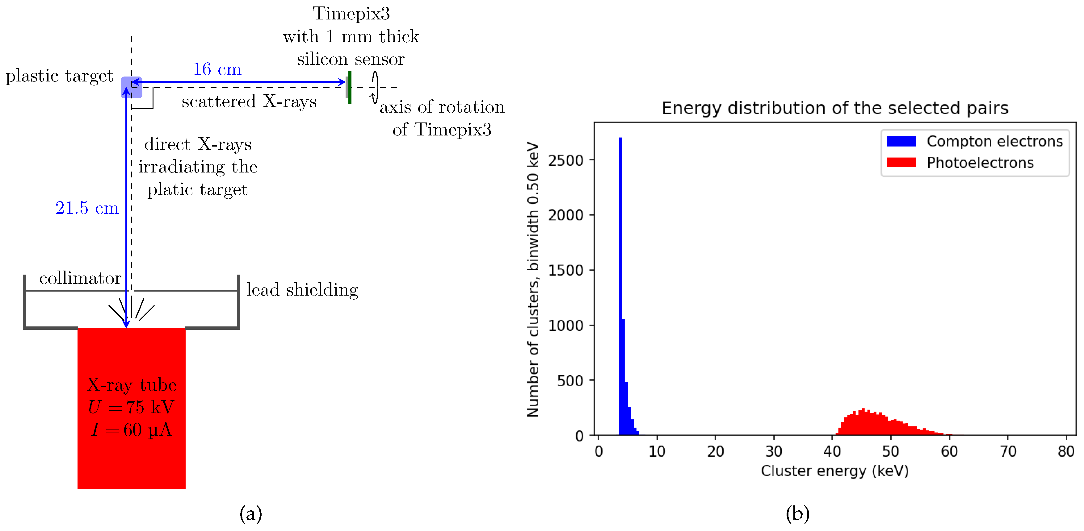 Preprints 90689 g012