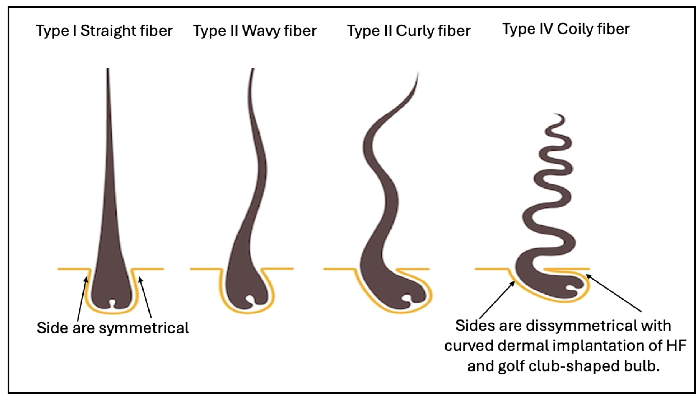Preprints 118922 g001