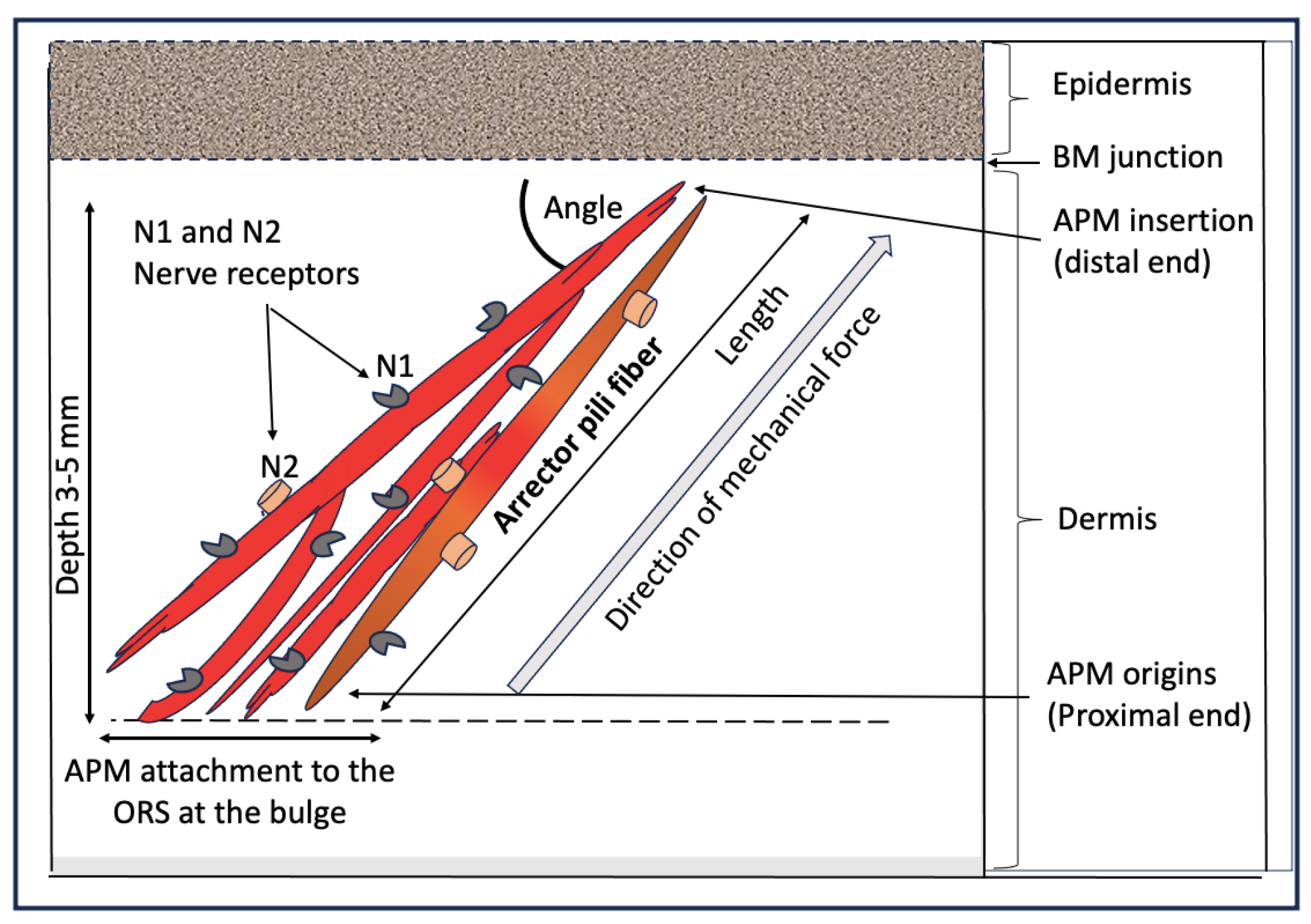 Preprints 118922 g004