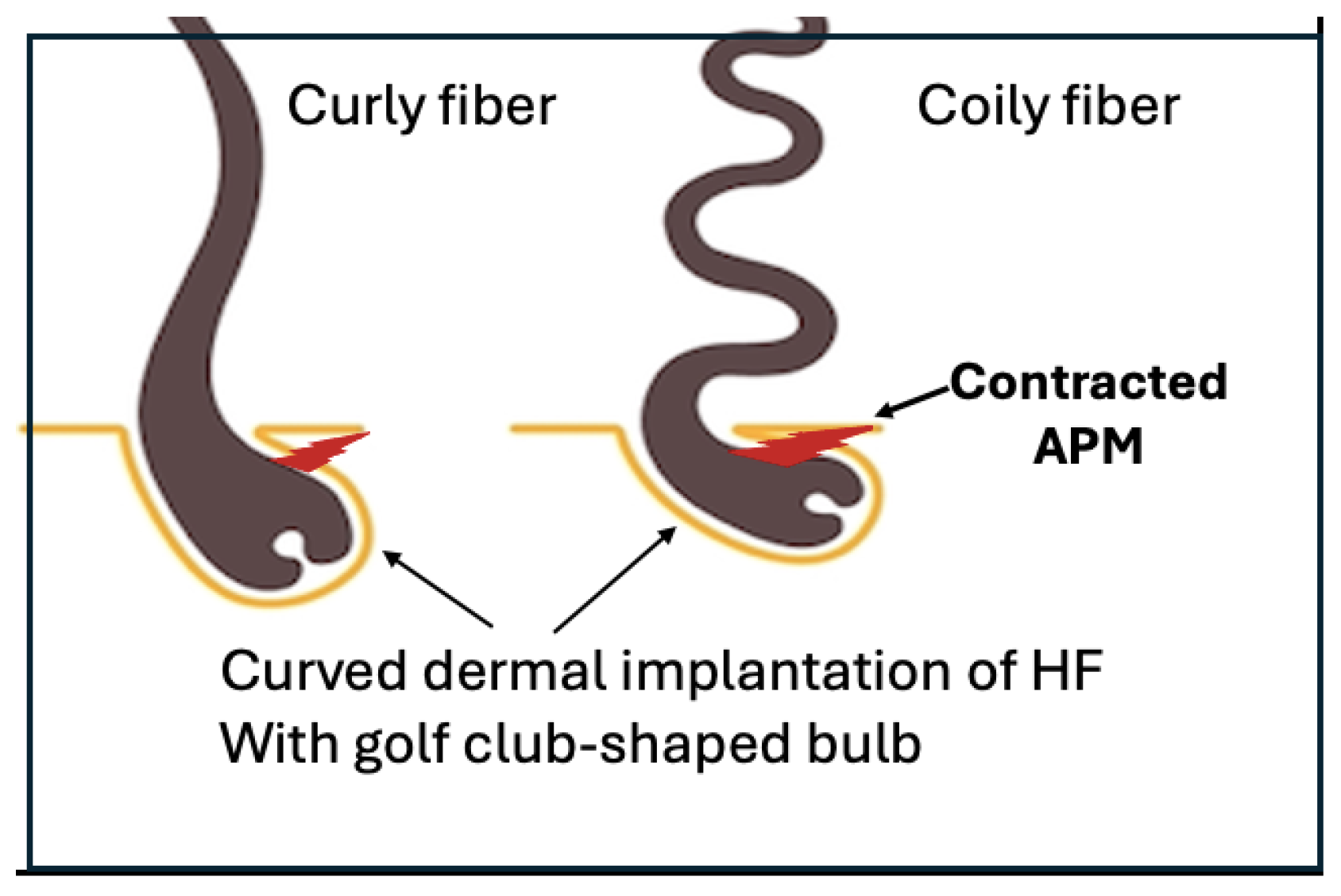 Preprints 118922 g005