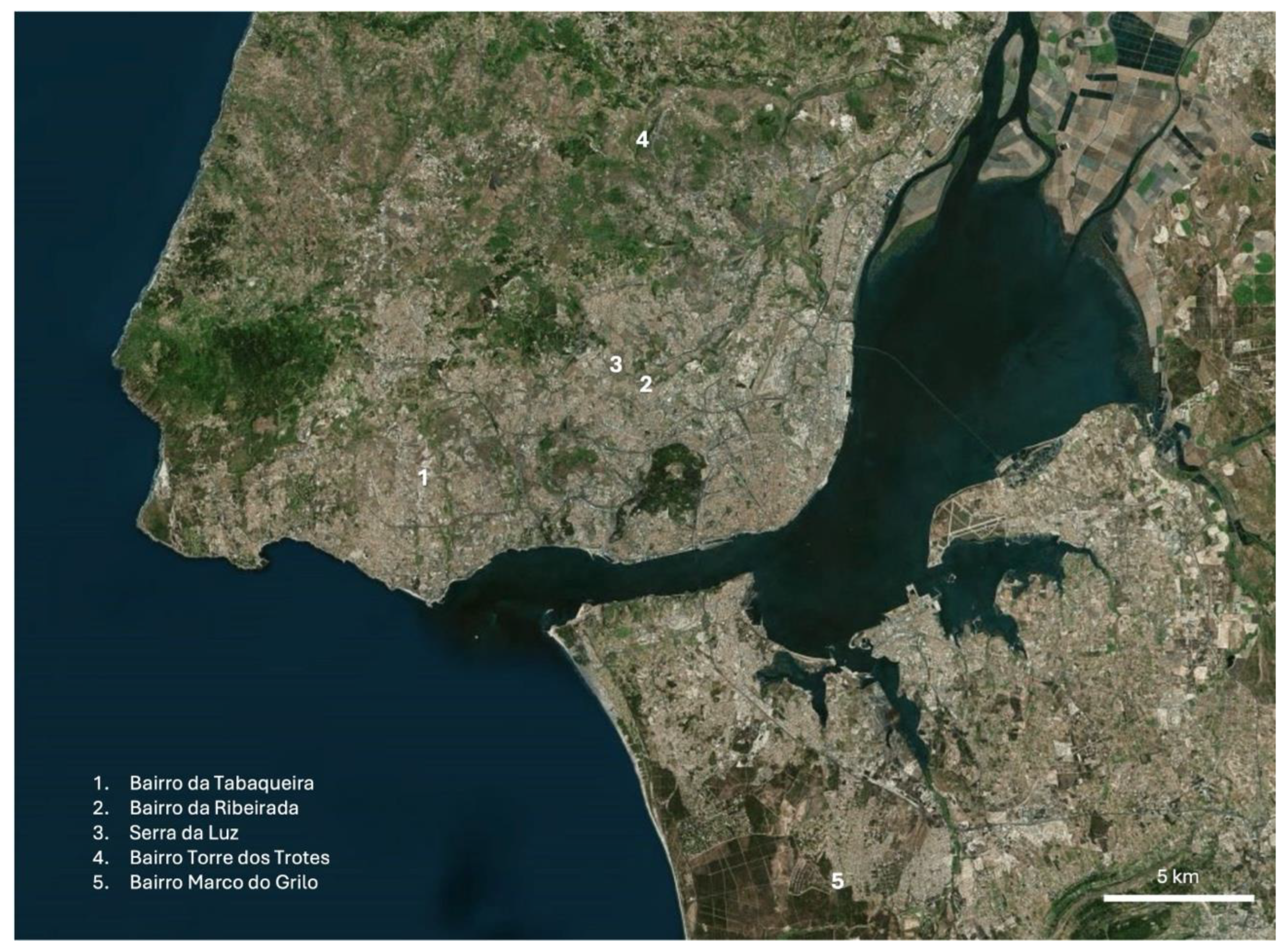 Preprints 175451 g001