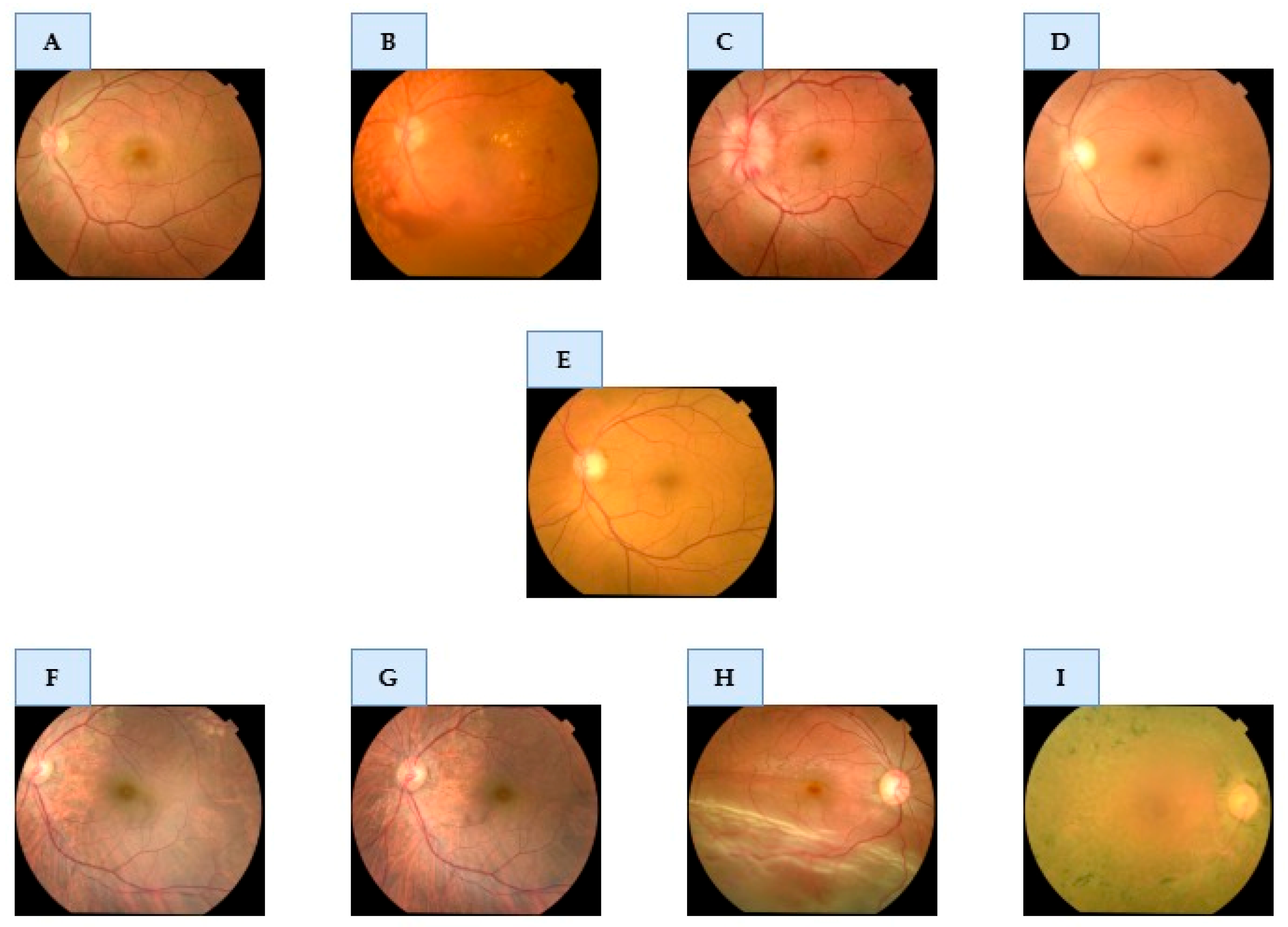 Preprints 170246 g001