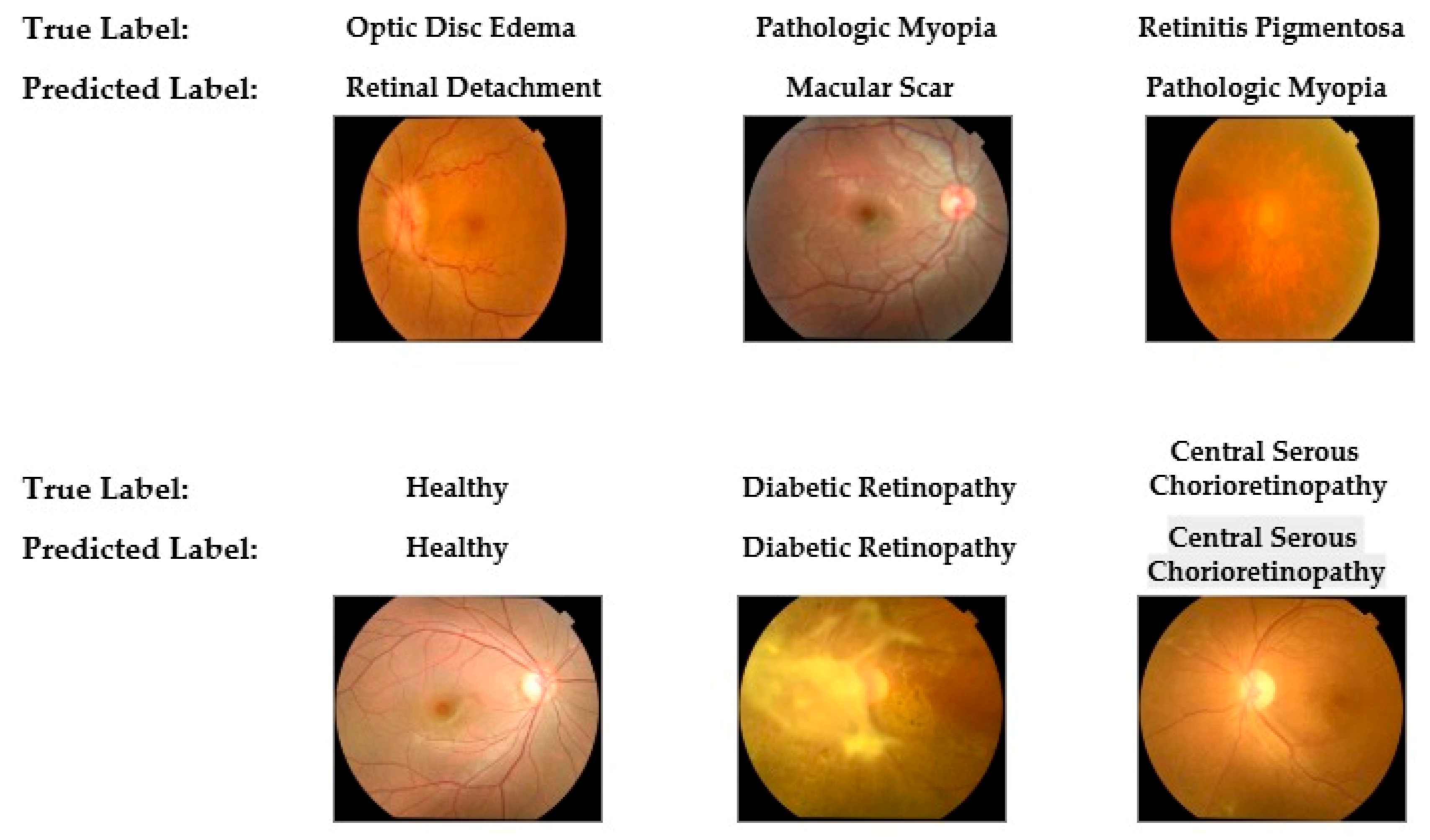 Preprints 170246 g009