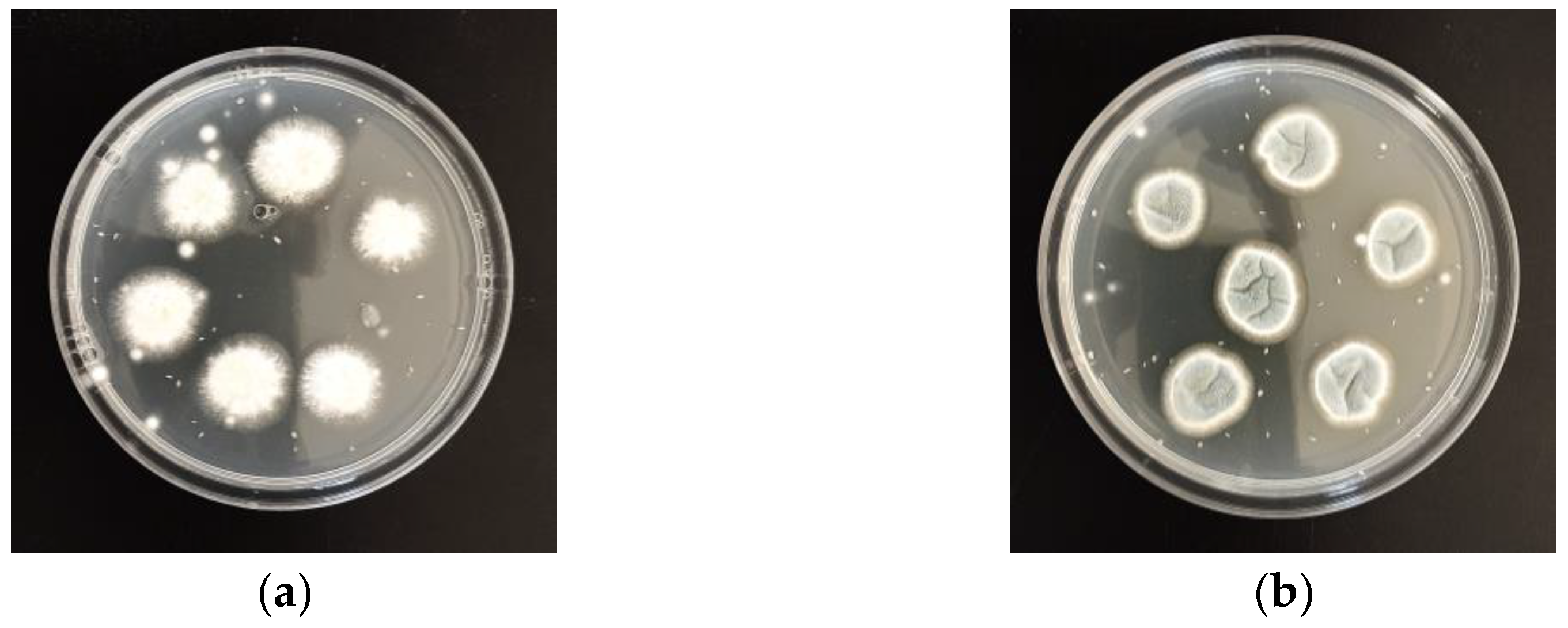 Preprints 170192 g001