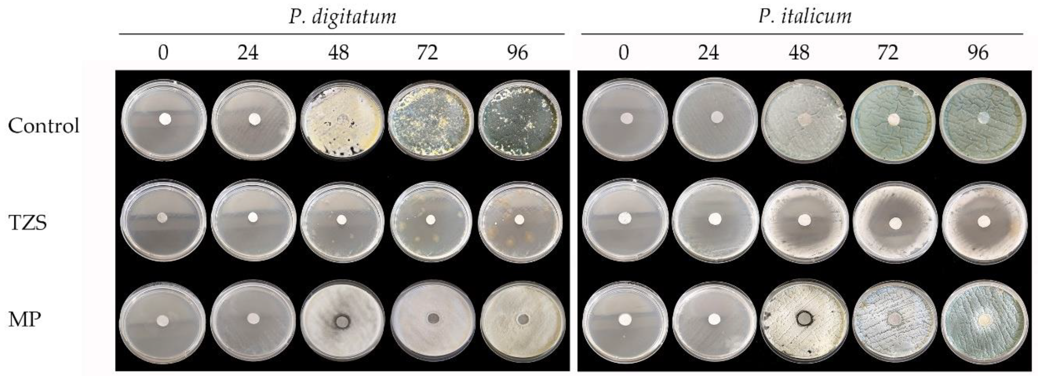 Preprints 170192 g002