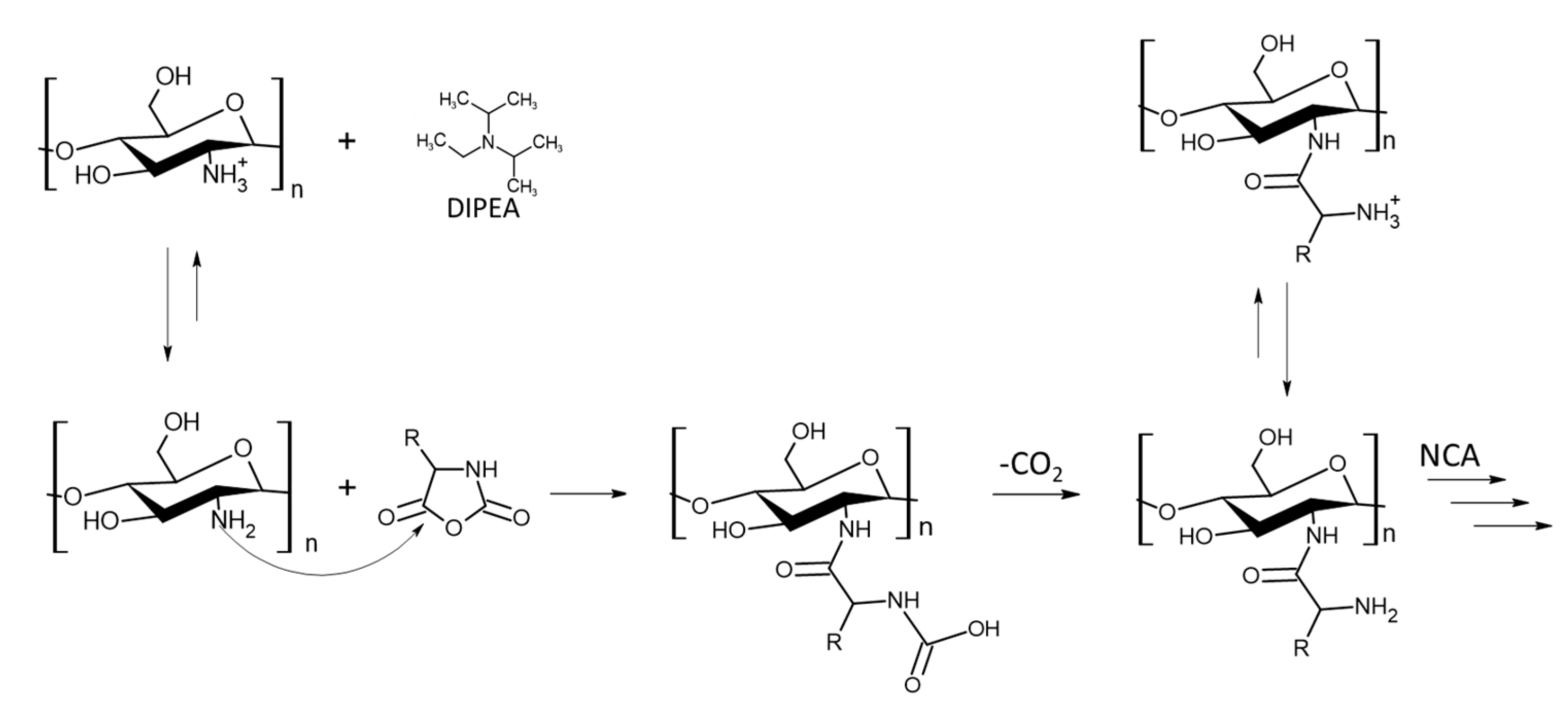 Preprints 69600 g004
