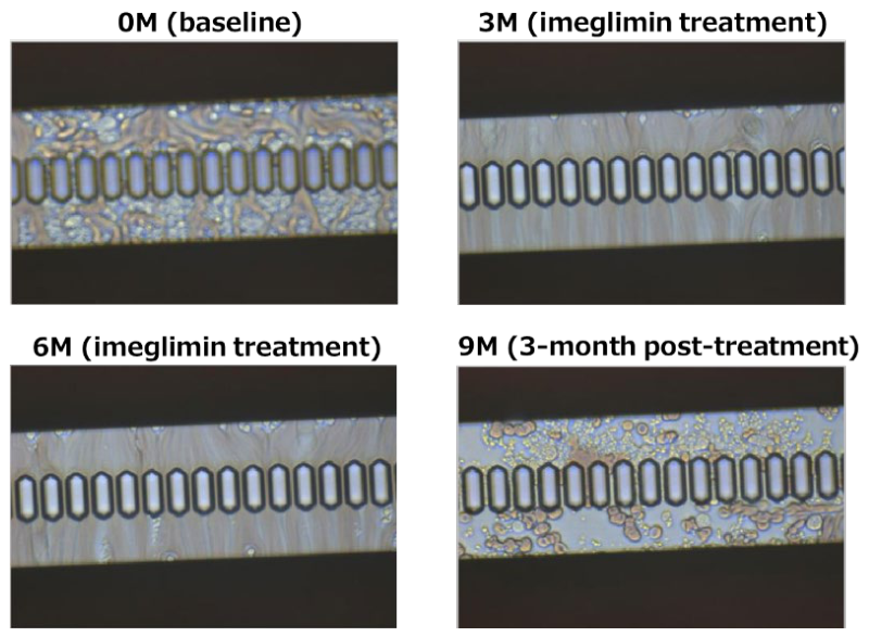 Preprints 211366 g002